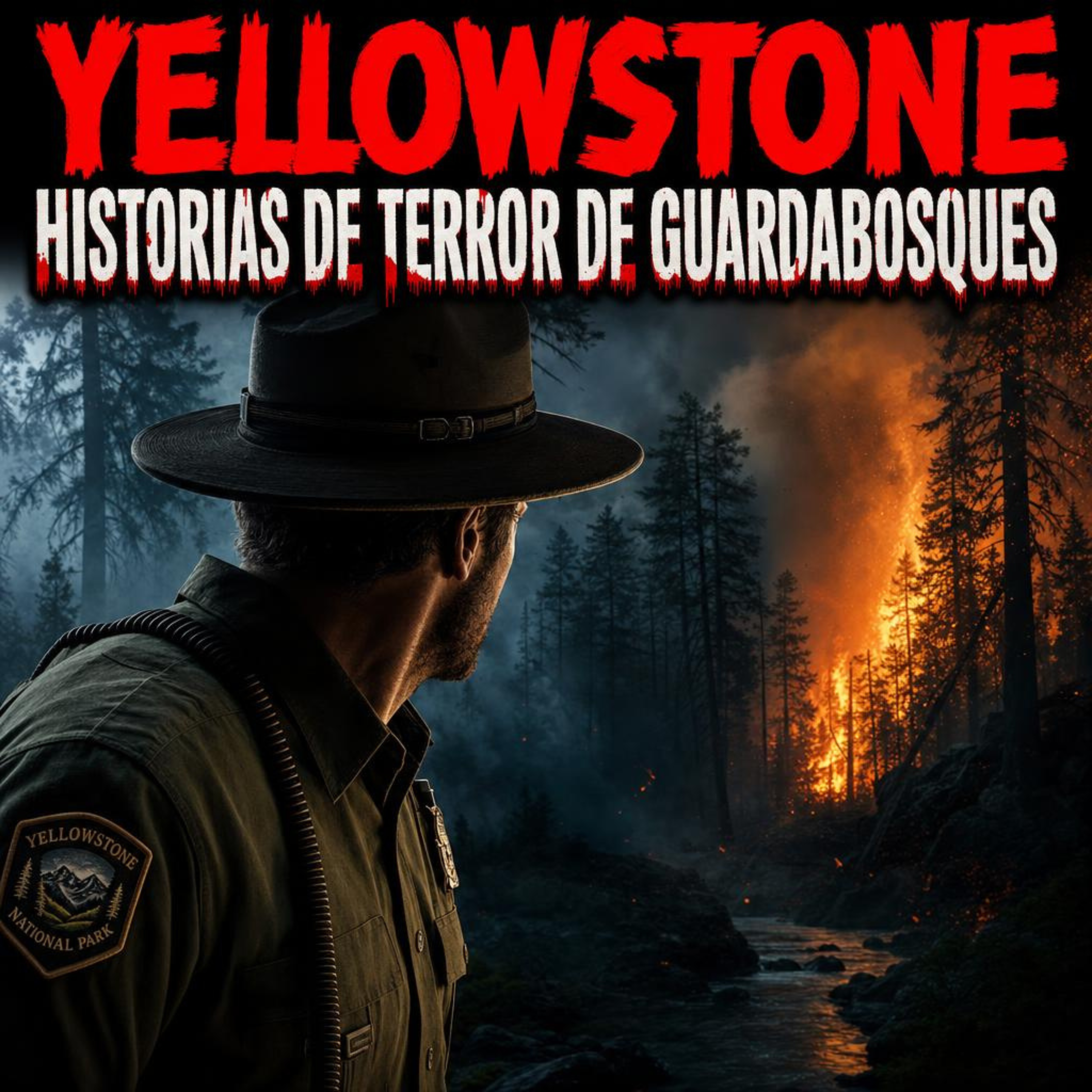 7 historias reales más perturbadoras de guardabosques del Parque Yellowstone que convirtieron la naturaleza salvaje en una pesadilla episode artwork
