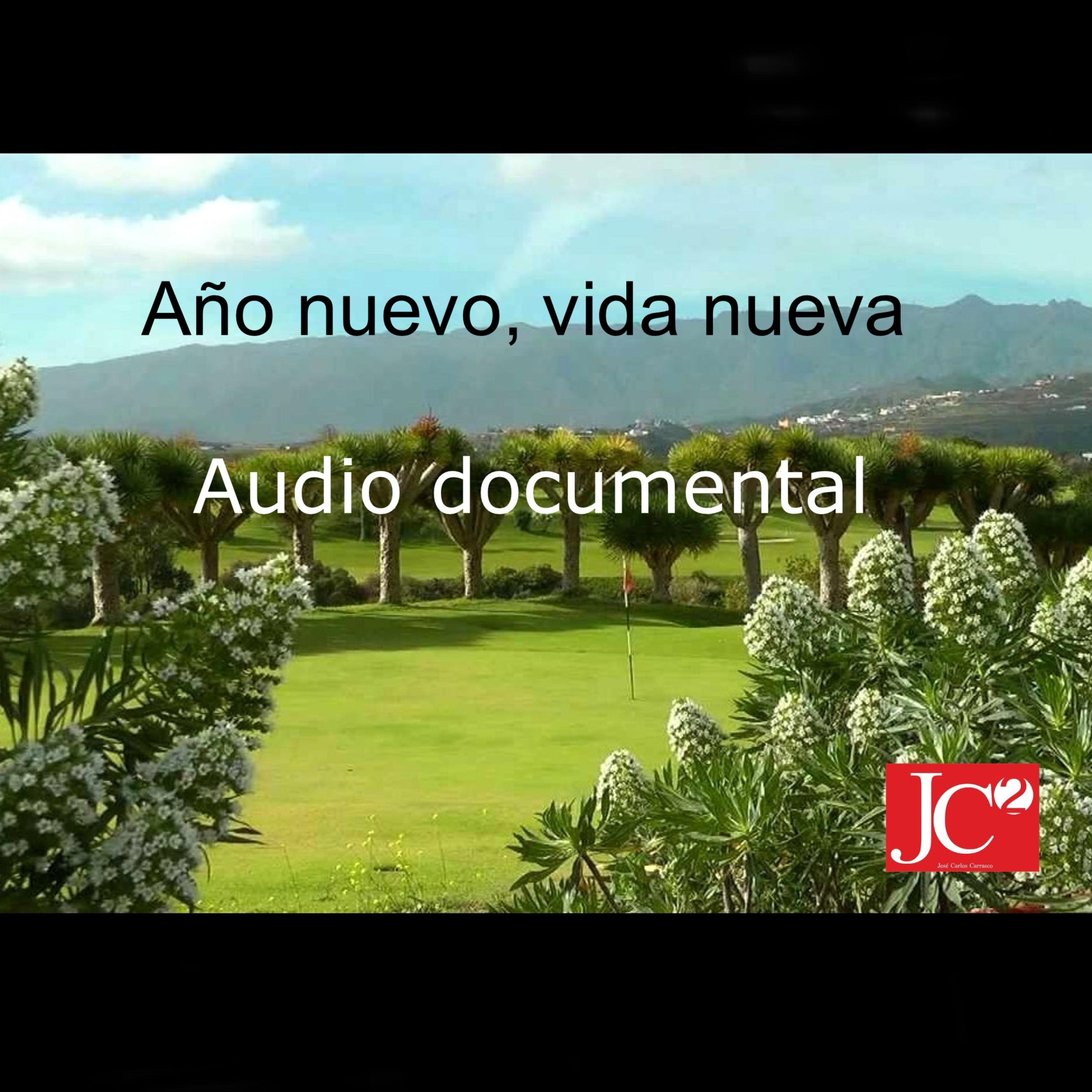 AÑO NUEVO, VIDA NUEVA. Audio documental. episode artwork