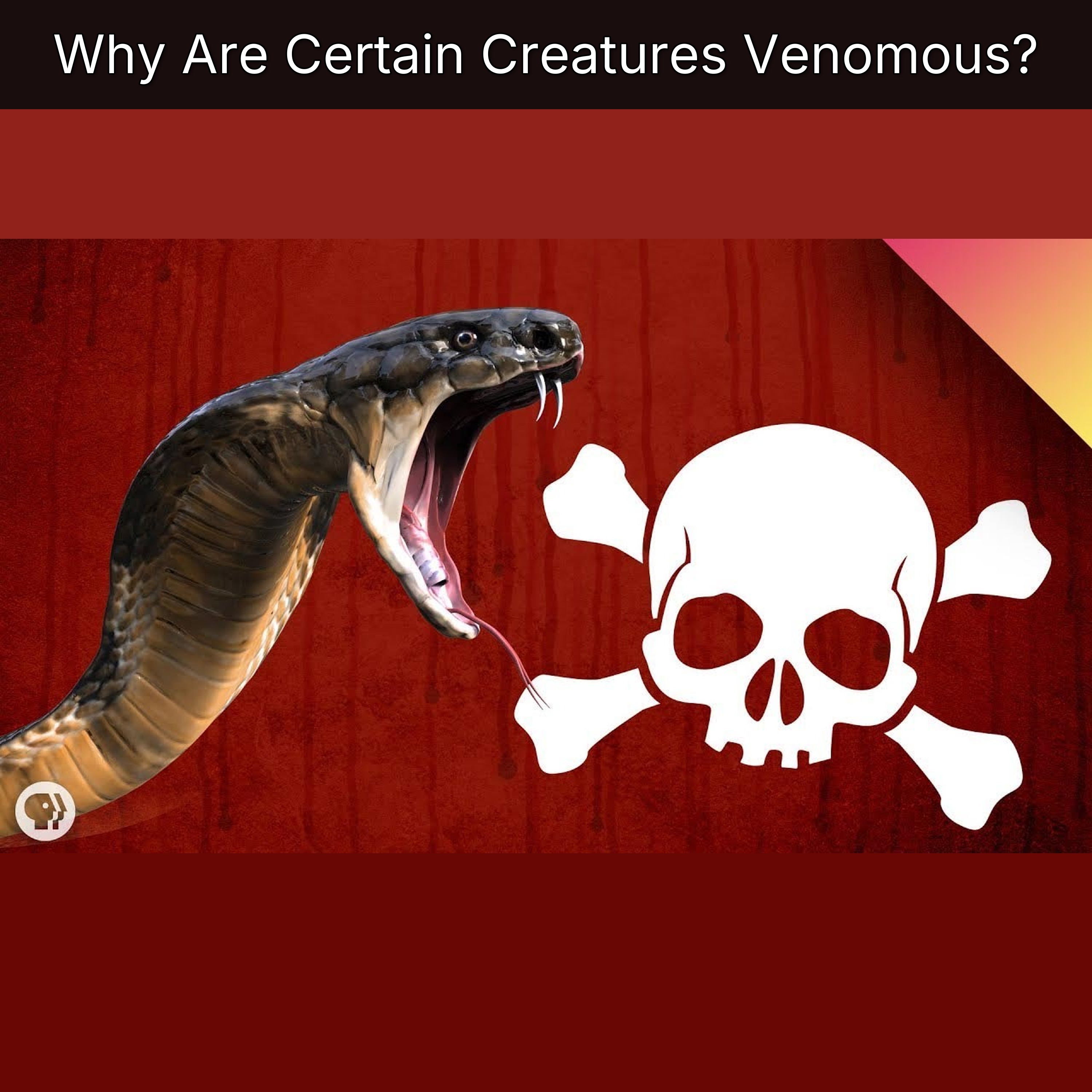 Why Are Certain Creatures Venomous? episode artwork