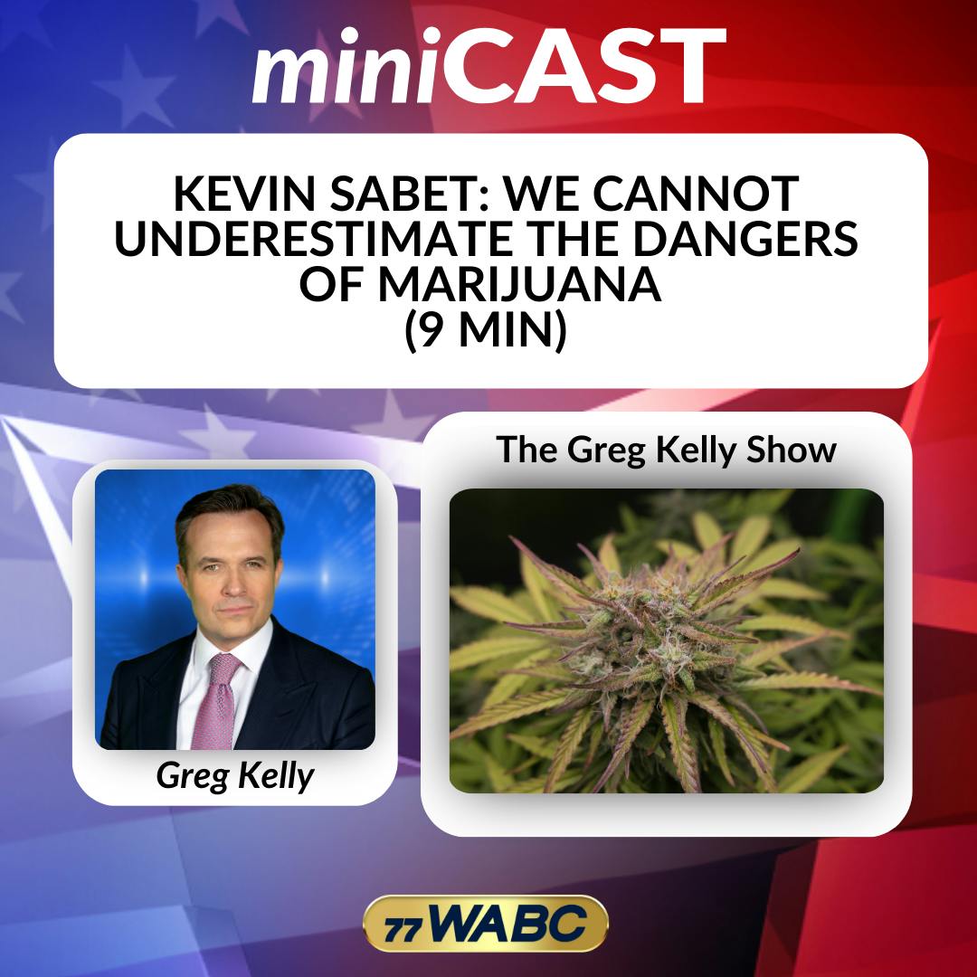 Kevin Sabet: We Cannot Underestimate The Dangers Of Marijuana (9 Min) Kevin Sabet: We Cannot Underestimate The Dangers Of Marijuana (9 Min)