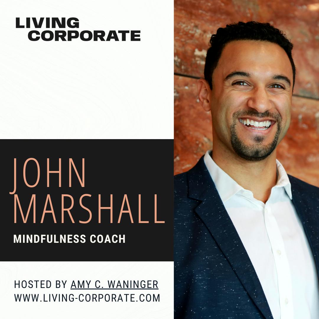 See It to Be It : Mindfulness Coach (w/ John Marshall)