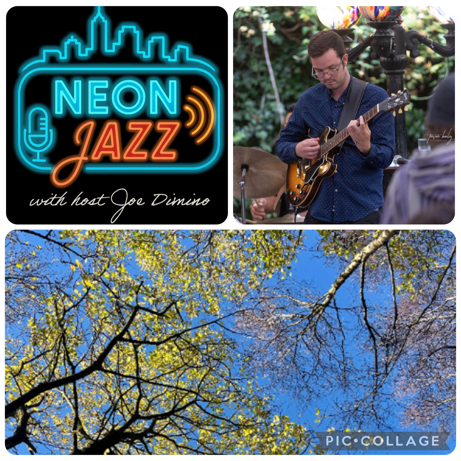 Neon Jazz Interviews