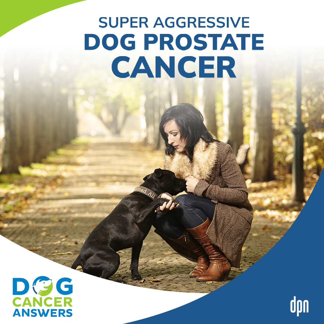 Super Aggressive Dog Prostate Cancer | Dr. Demian Dressler #121