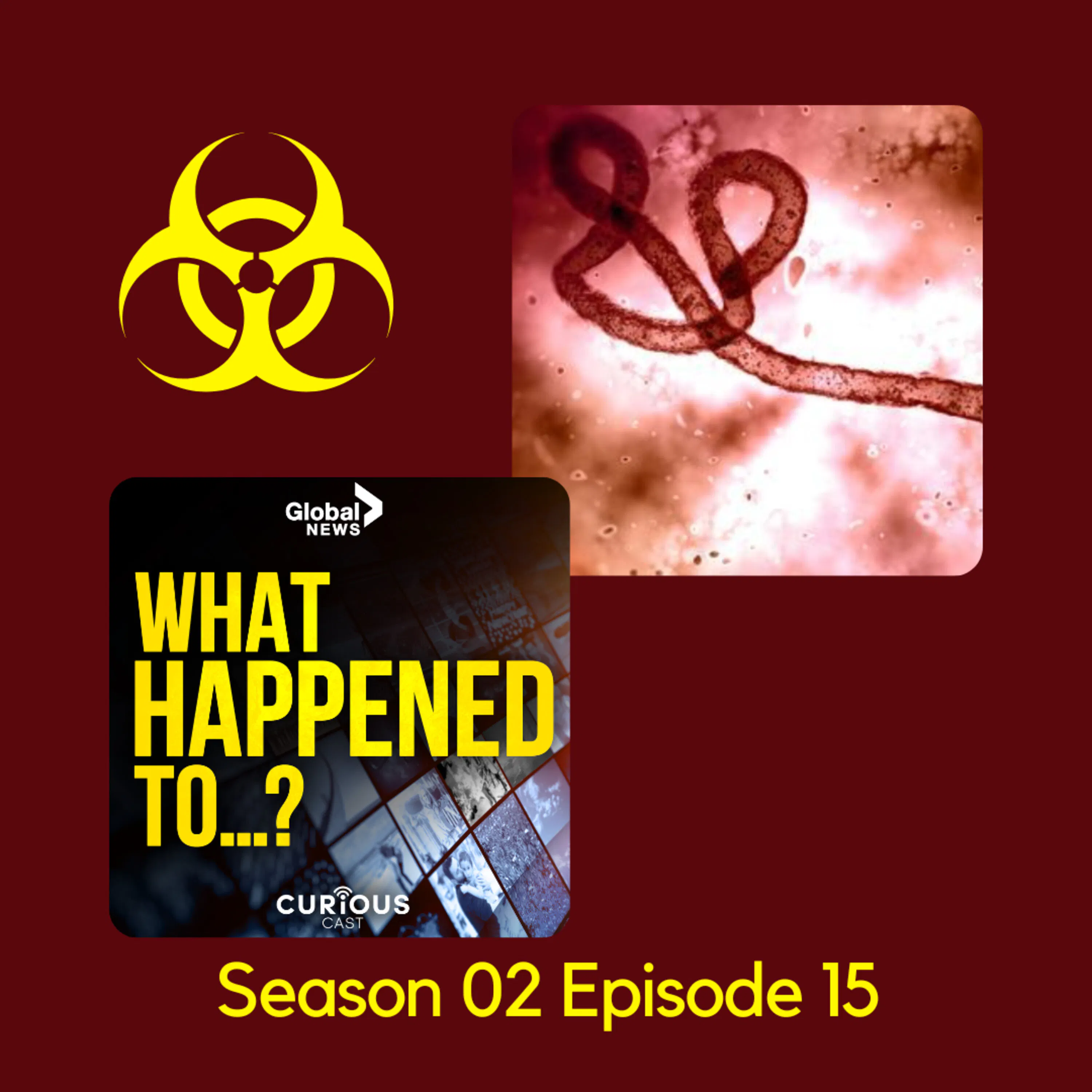 West Africa Ebola outbreak | 15 episode artwork