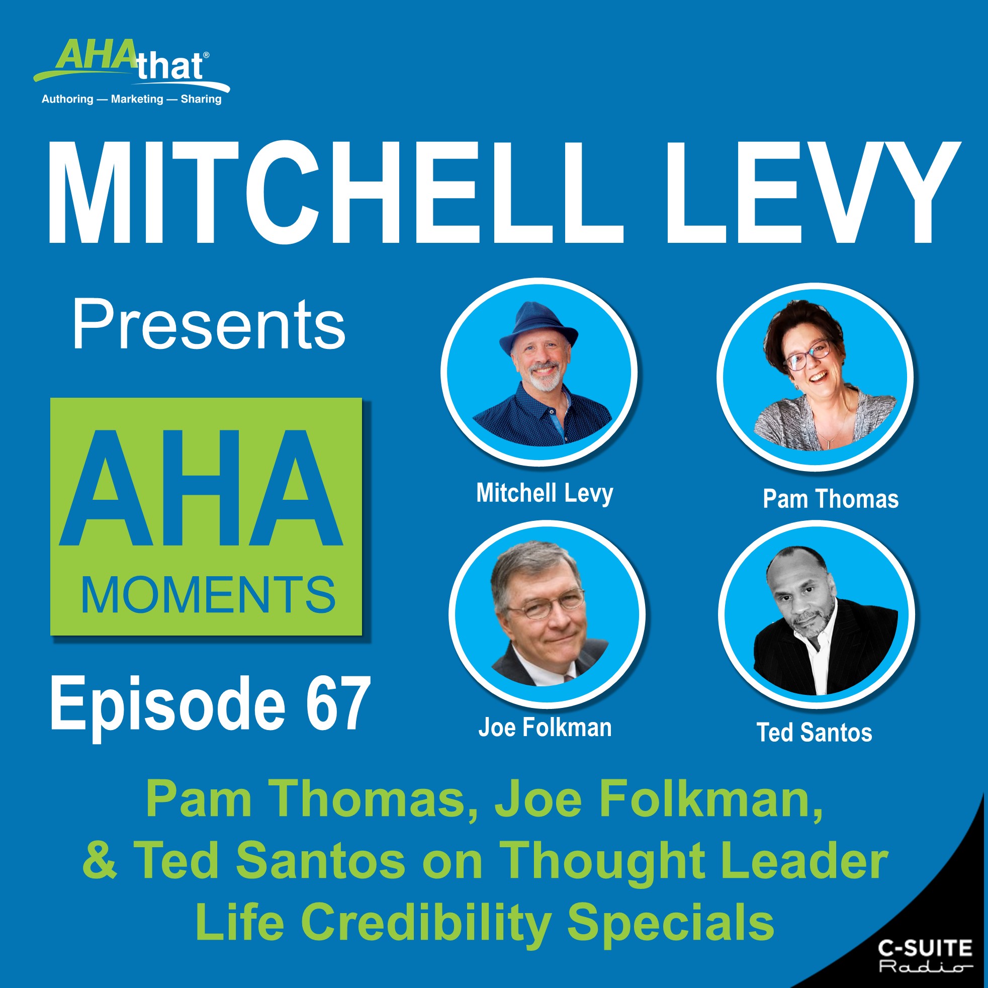 Mitchell Levy Presents AHA Moments