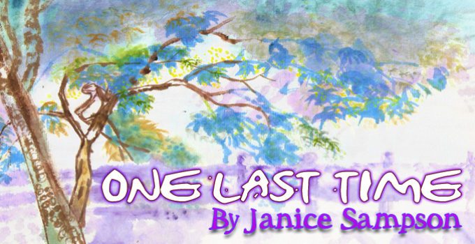 One Last Time by Janice Sampson
