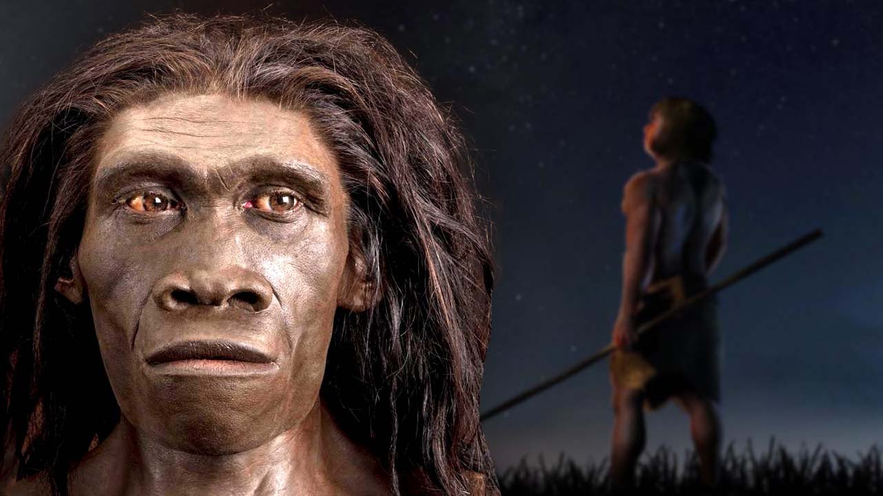 24. A Brief History Of The Most Successful Human Species: Homo Erectus | A Day In History episode artwork