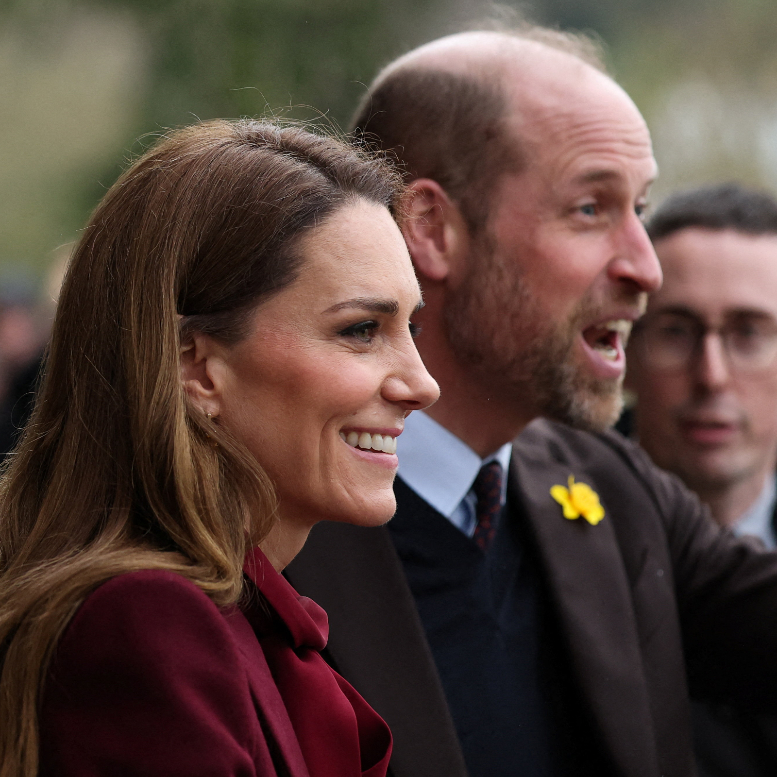 Walesmania, Quasi-Royal Tours, and the Line of Succession