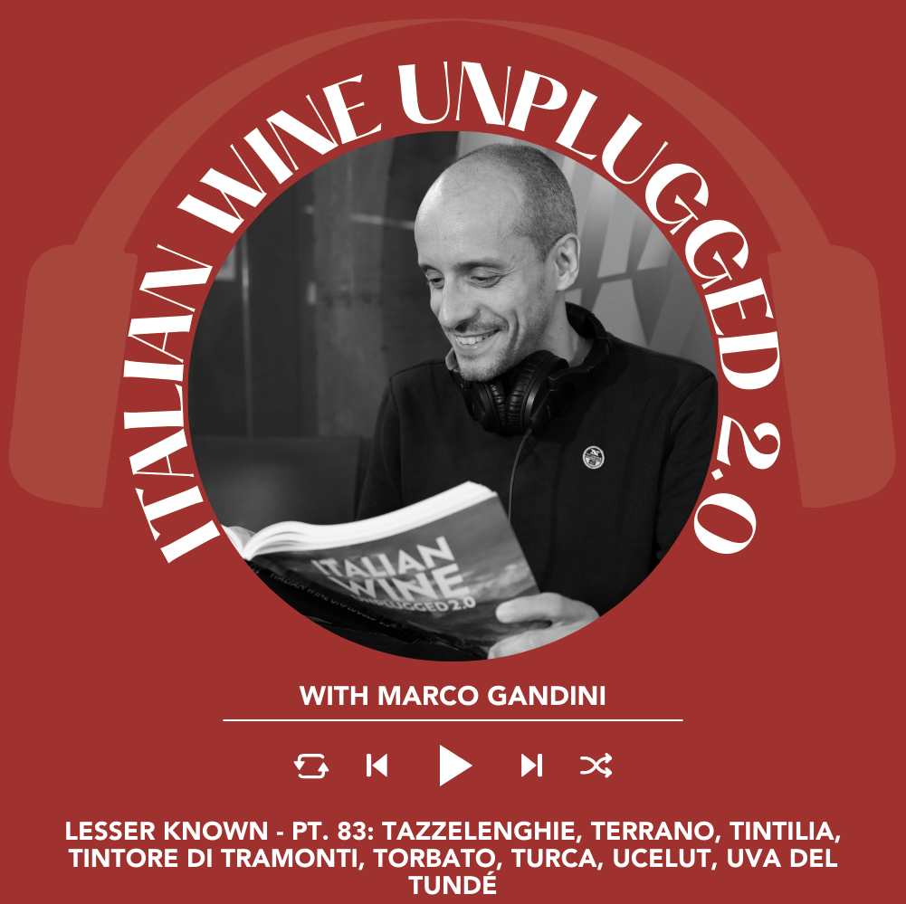 Marco Gandini Narrates Pt. 83 | Italian Wine Unplugged 2.0