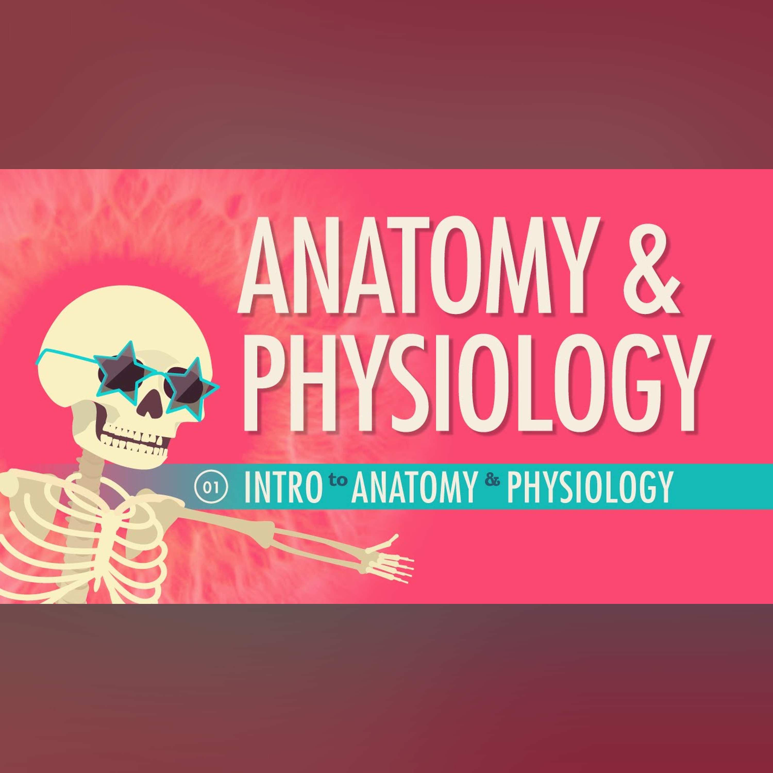 Introduction to Anatomy and Physiology: Crash Course Anatomy and Physiology #1