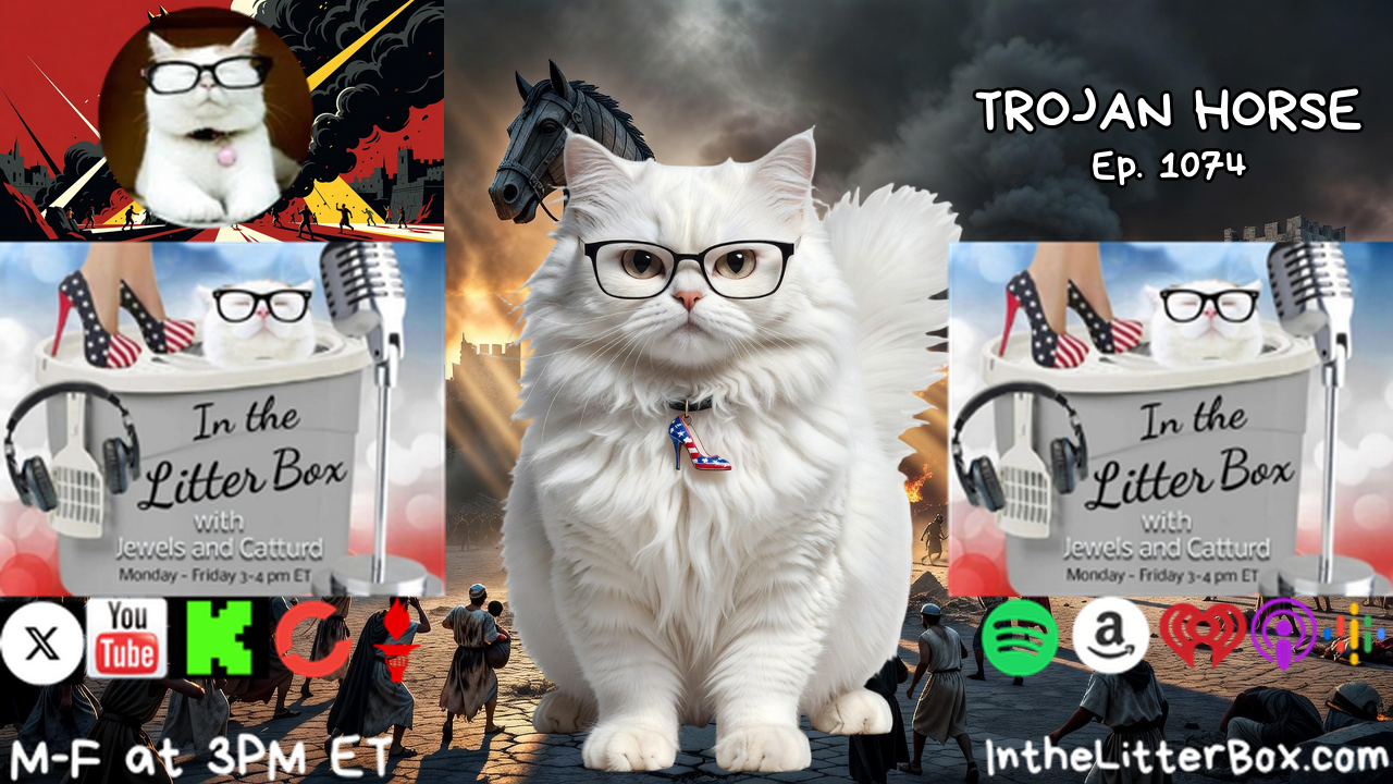 TROJAN HORSE | In the Litter Box w/ Jewels & Catturd – Ep. 1074 – 8/10/2026
