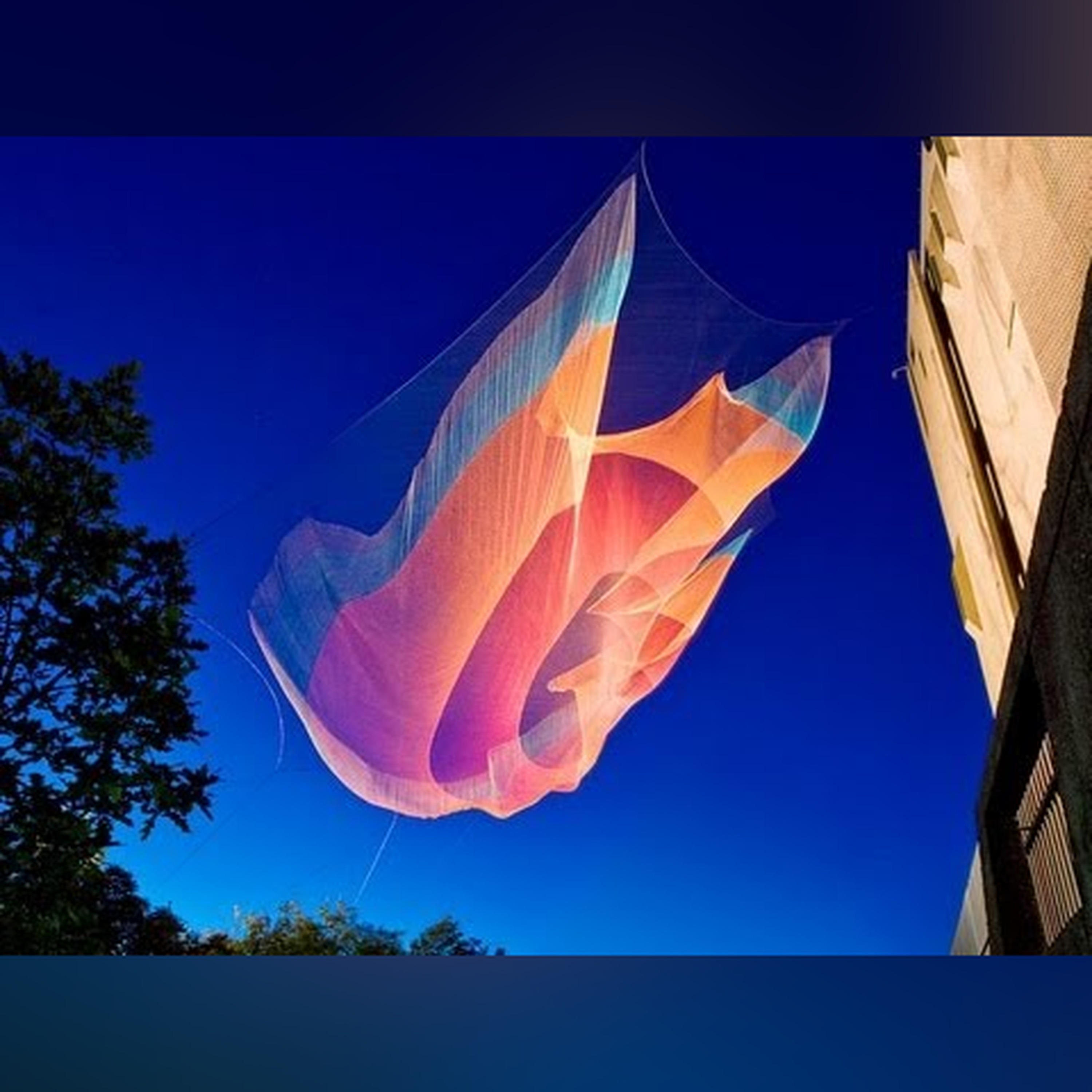 Taking imagination seriously - Janet Echelman