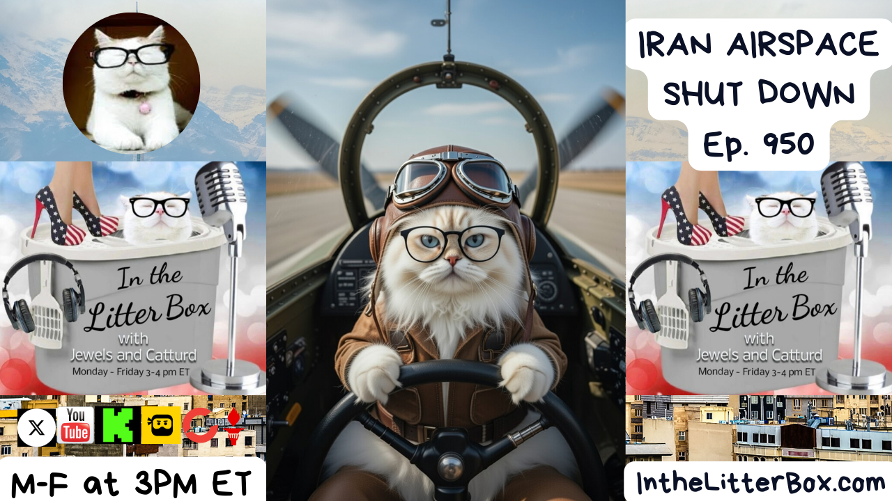 IRAN AIRSPACE SHUT DOWN | In the Litter Box w/ Jewels & Catturd – Ep. 950 – 1/15/2026