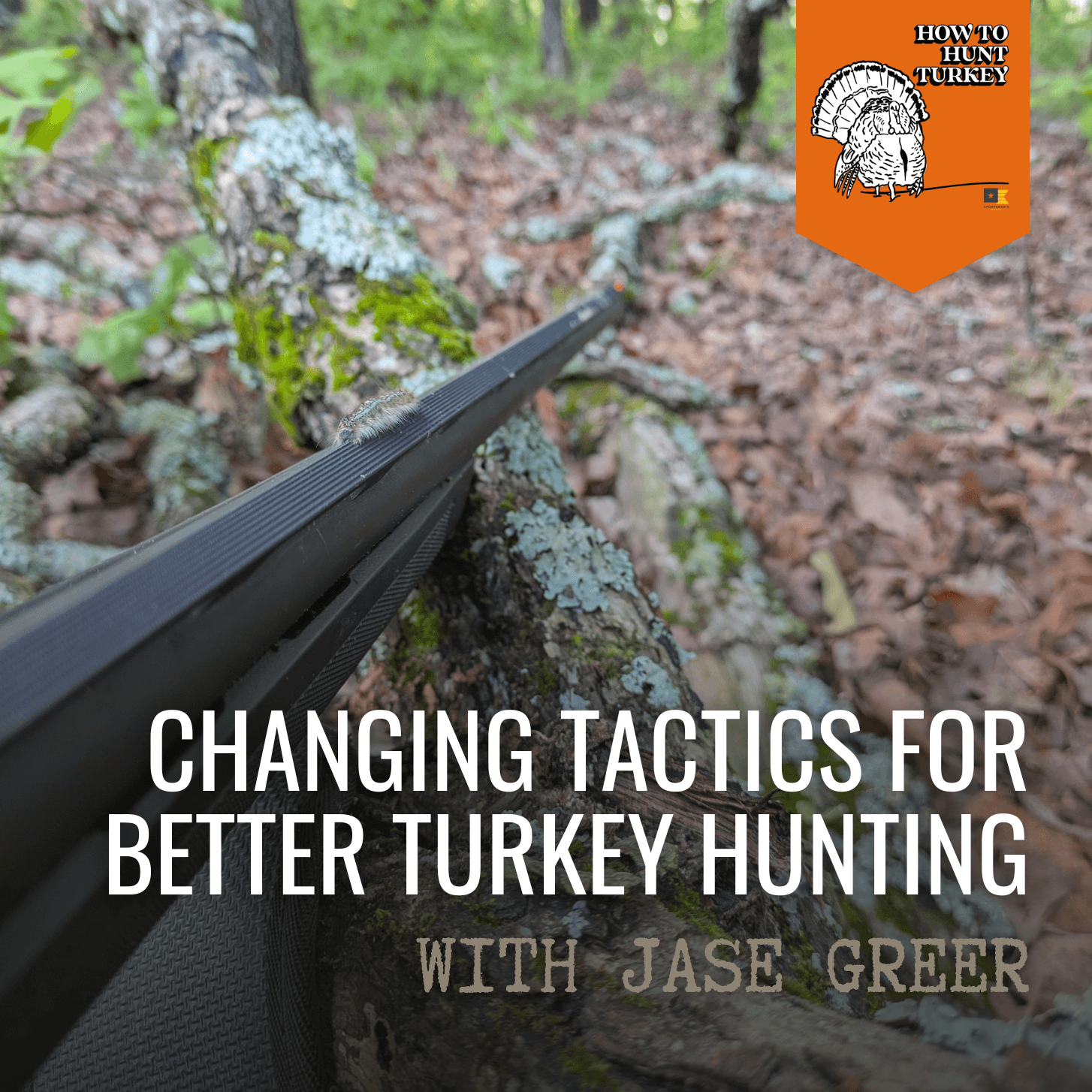 How To Hunt Turkey - Changing Tactics For Better Turkey Hunting