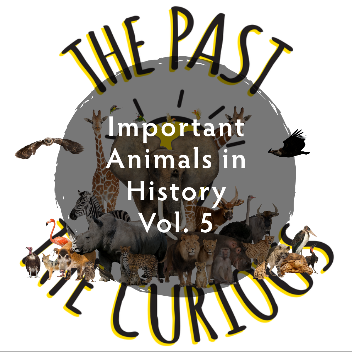 Important Animals: Blisters, Shin Splints, Museum Spiders and more