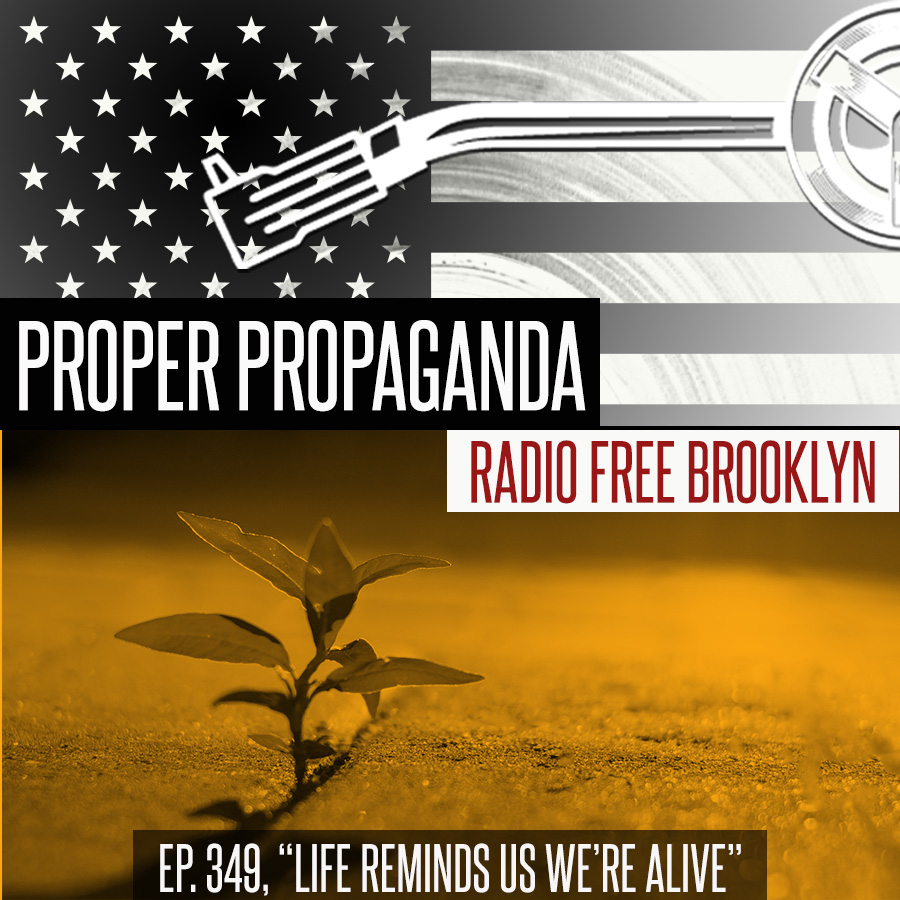Proper Propaganda Ep. 349, "Life Reminds Us We're Alive" episode artwork