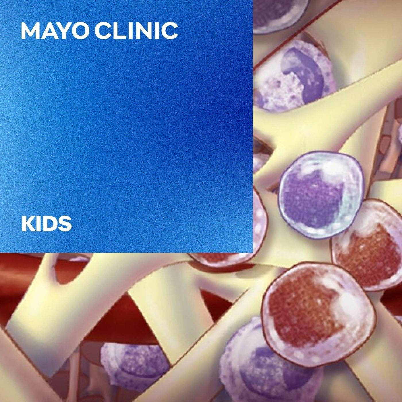 The Remarkable Science of Bone Marrow Transplants The Remarkable Science of Bone Marrow Transplants