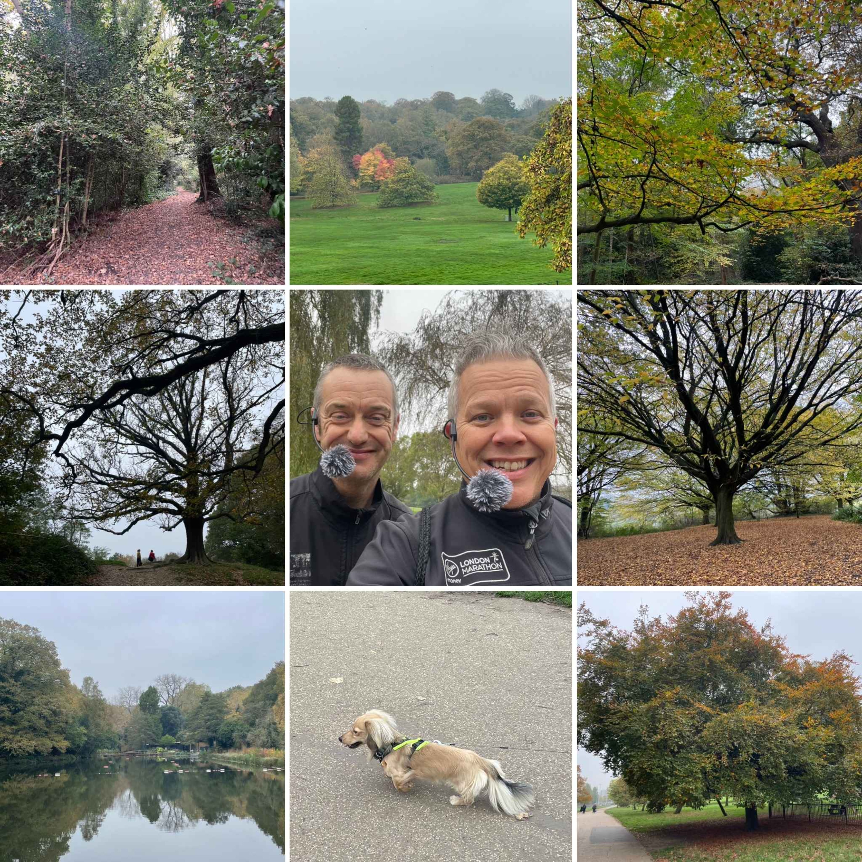 Letting It Go On The Heath