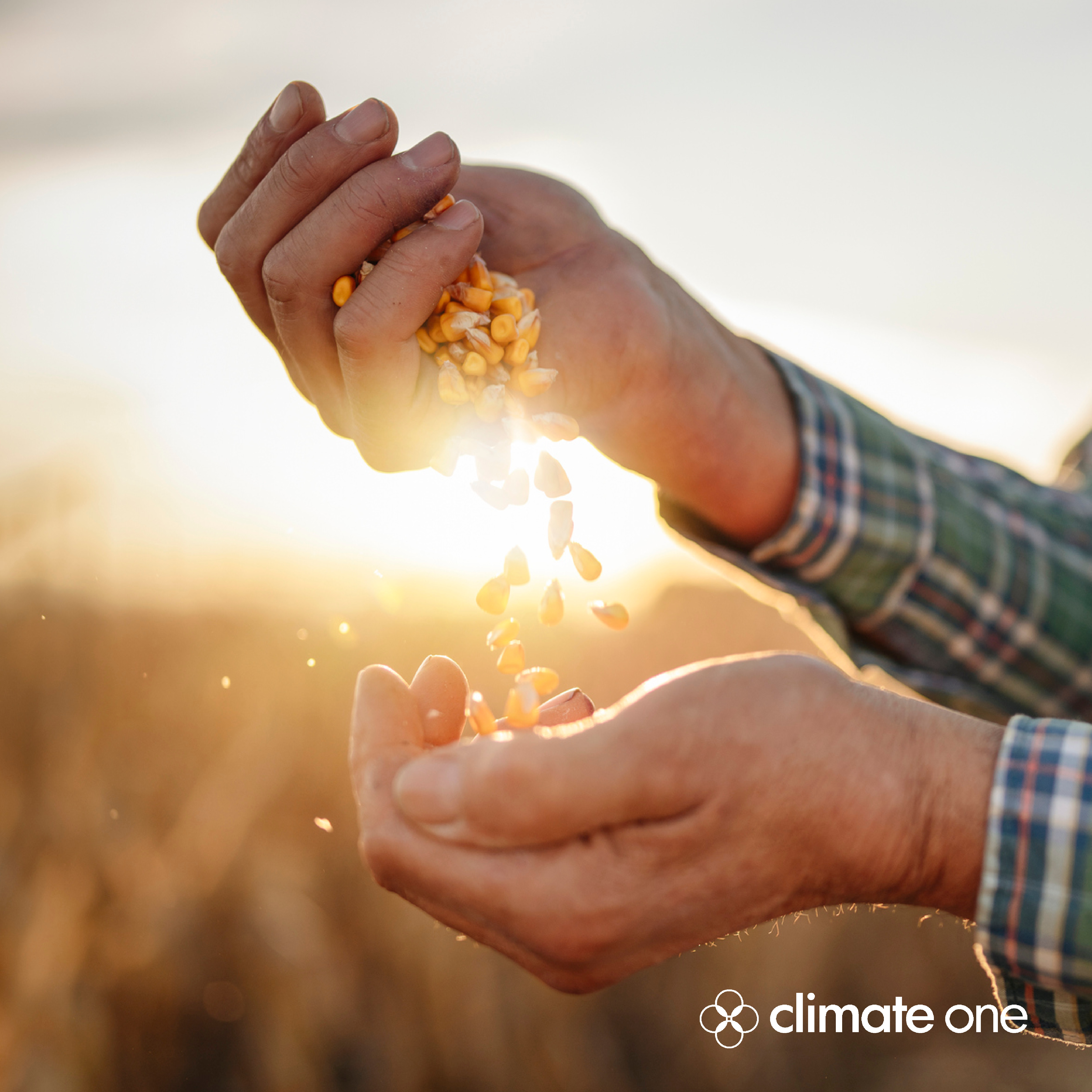CLIMATE ONE: Climate Smart Agriculture with Secretary Tom Vilsack