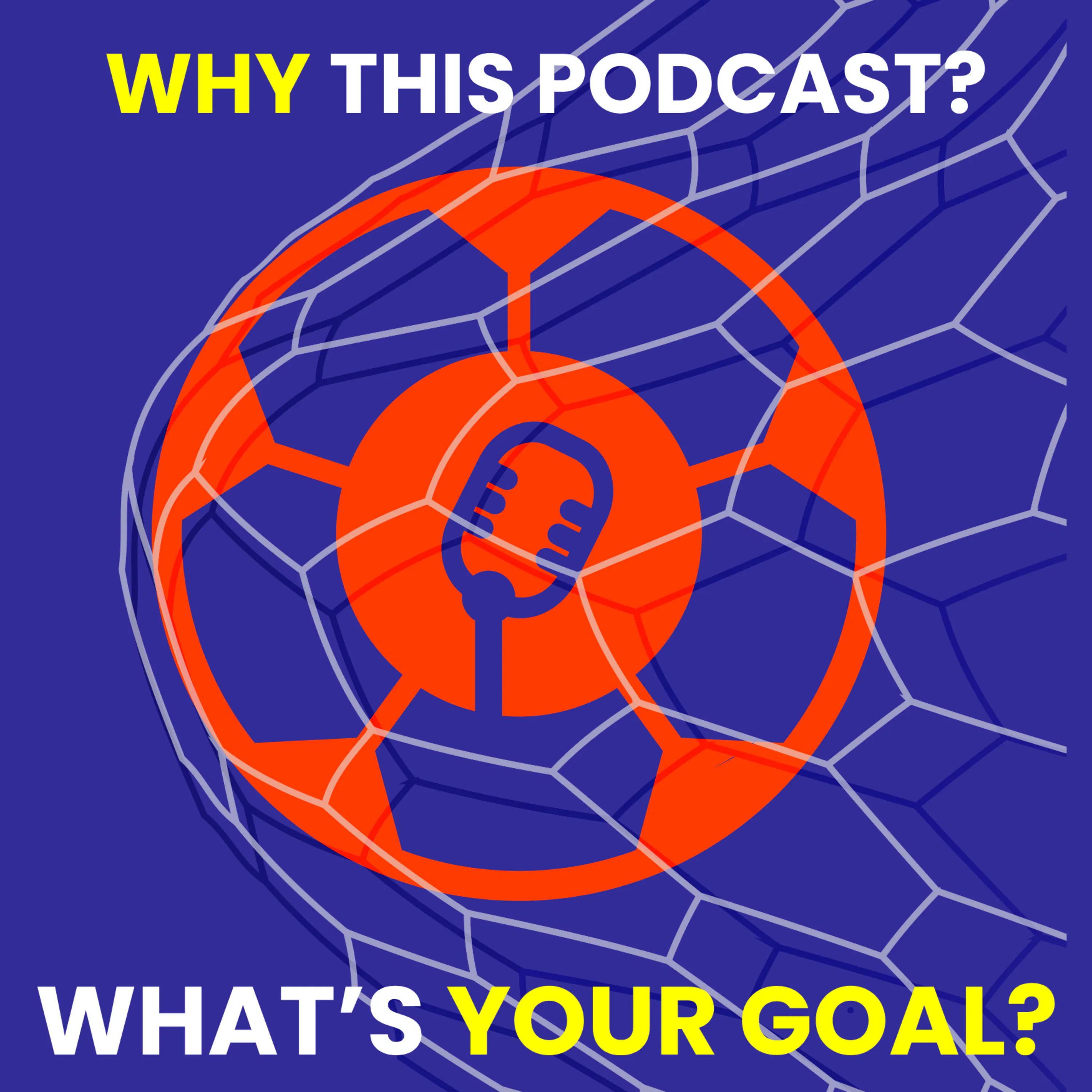 WHY THIS PODCAST? episode artwork