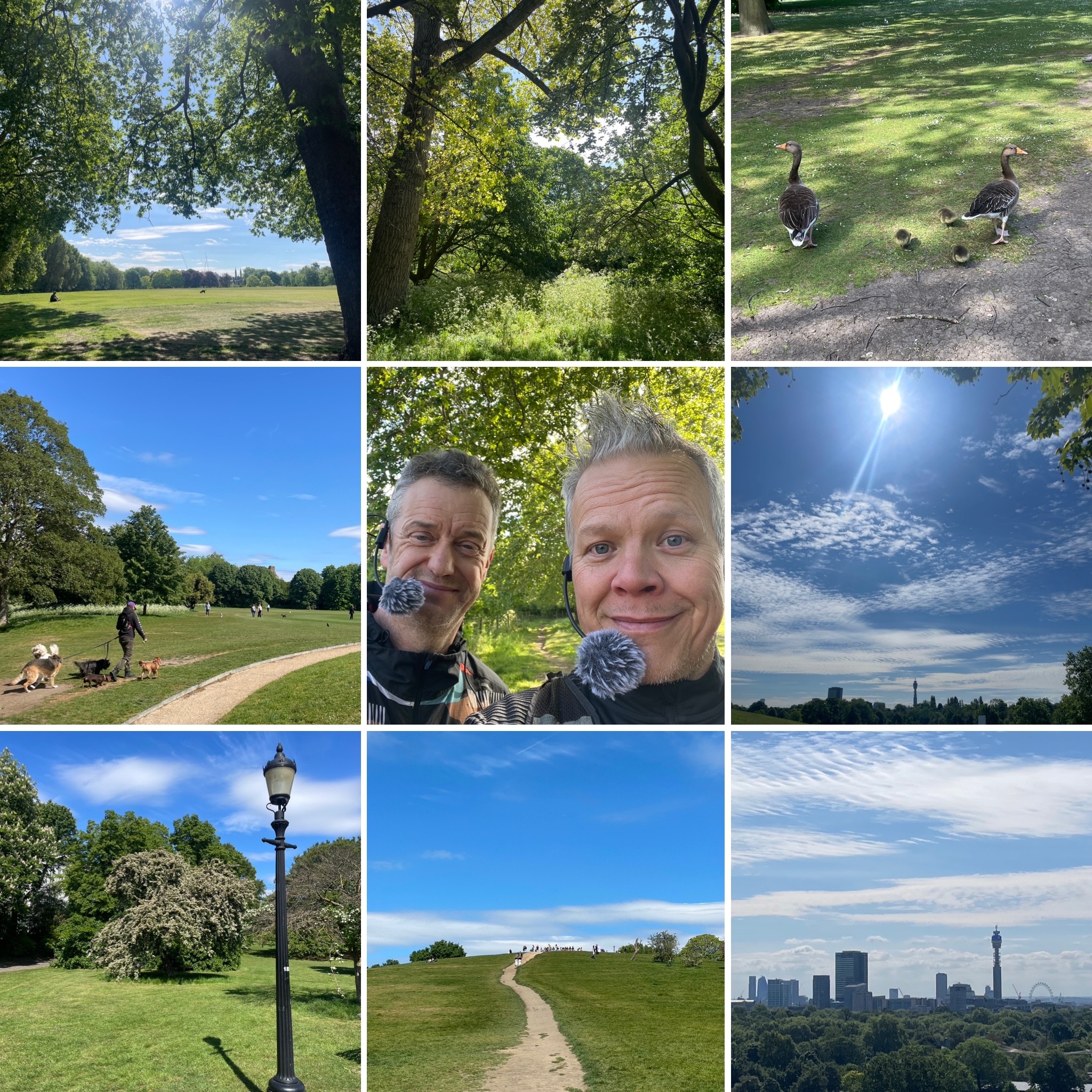 Regent's Park And Primrose Hill episode artwork
