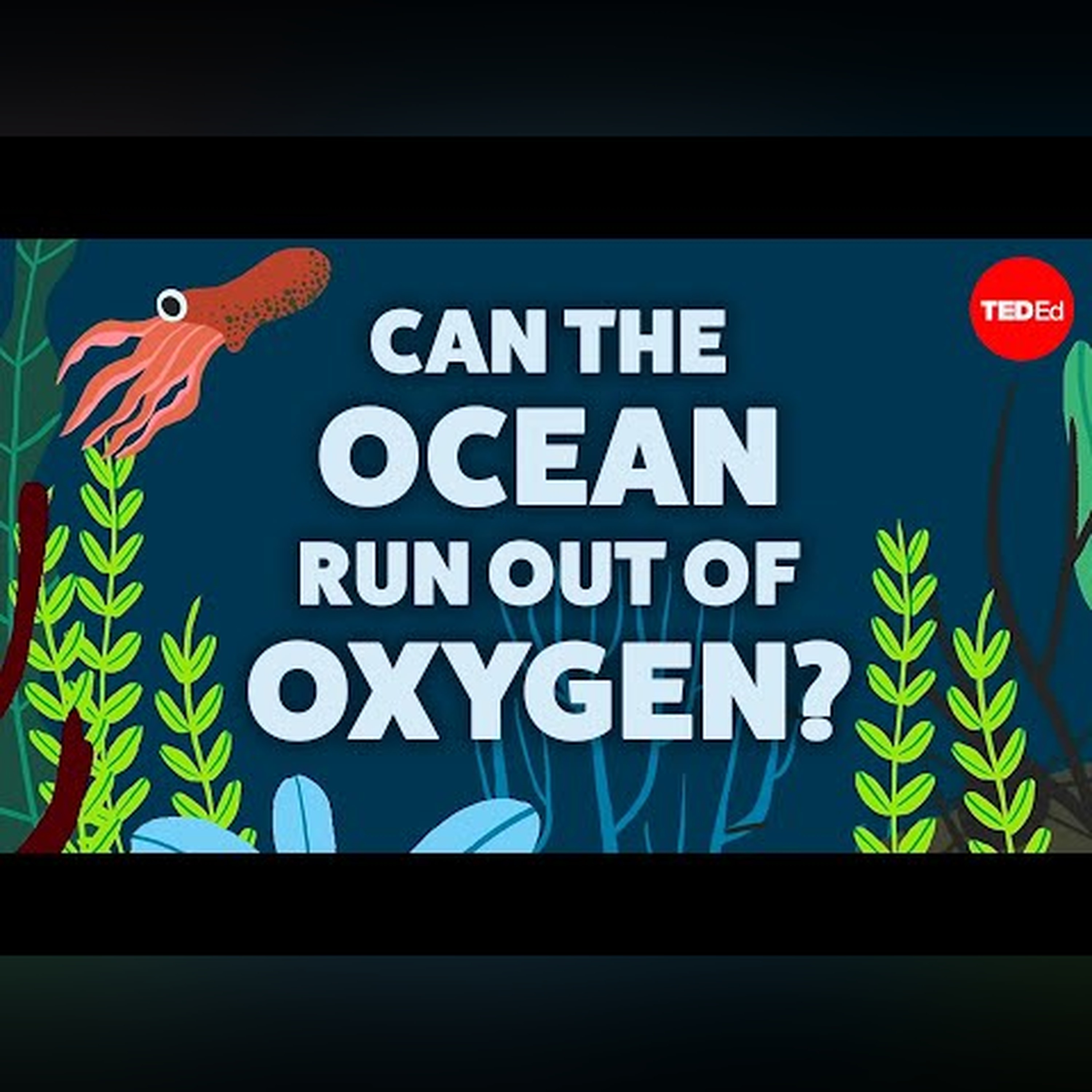 Can the ocean run out of oxygen? - Kate Slabosky