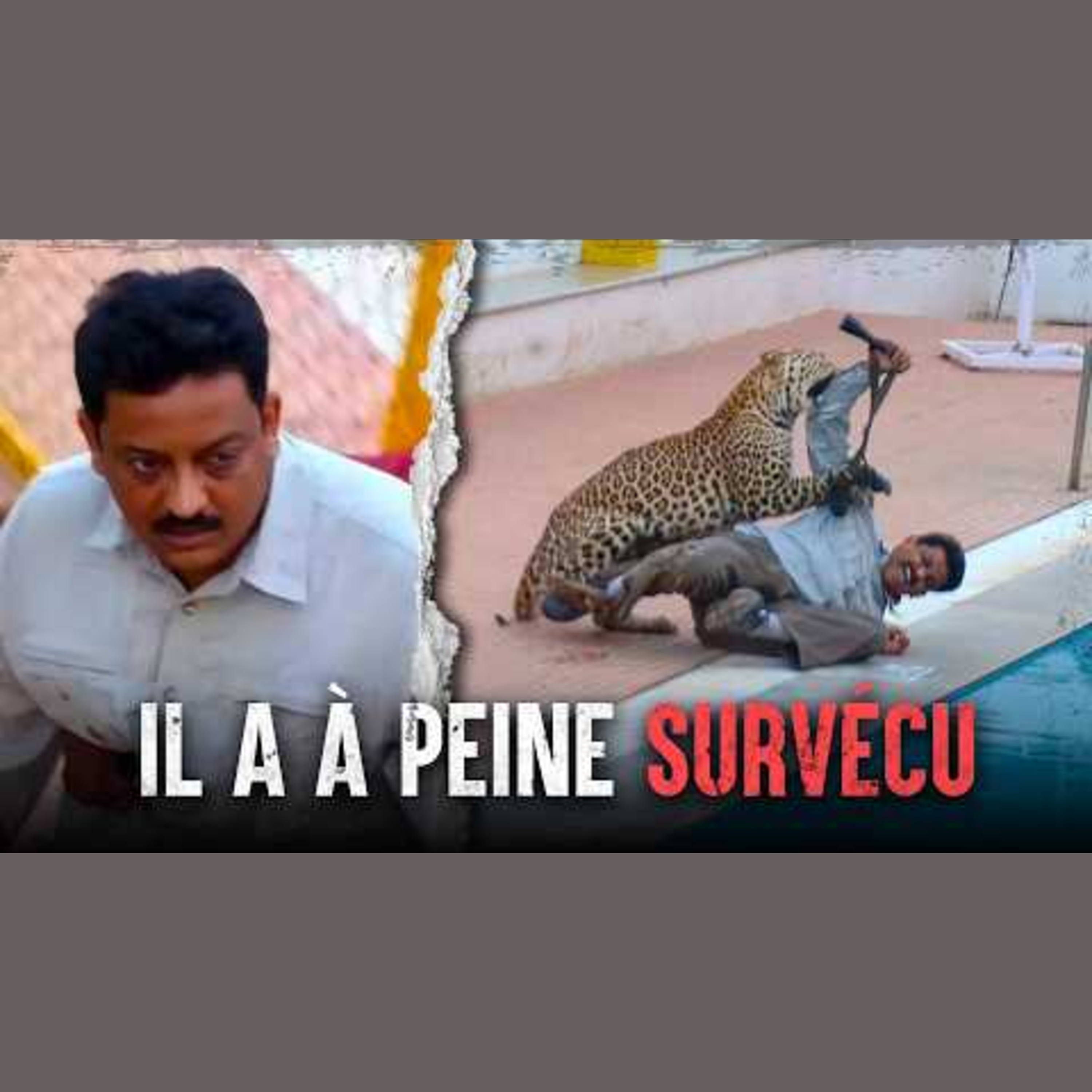 Comment Survivre