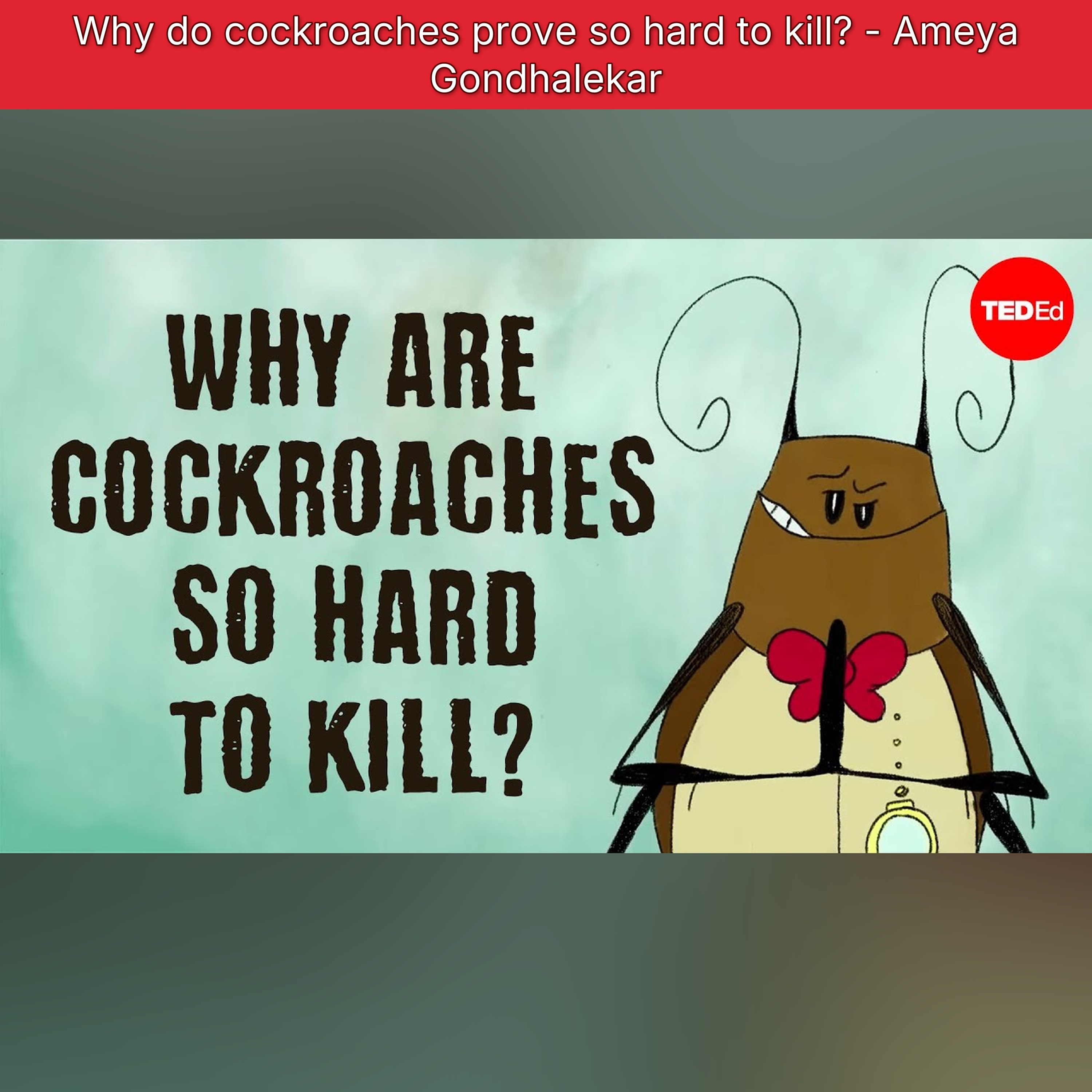 Why do cockroaches prove so hard to kill? - Ameya Gondhalekar episode artwork