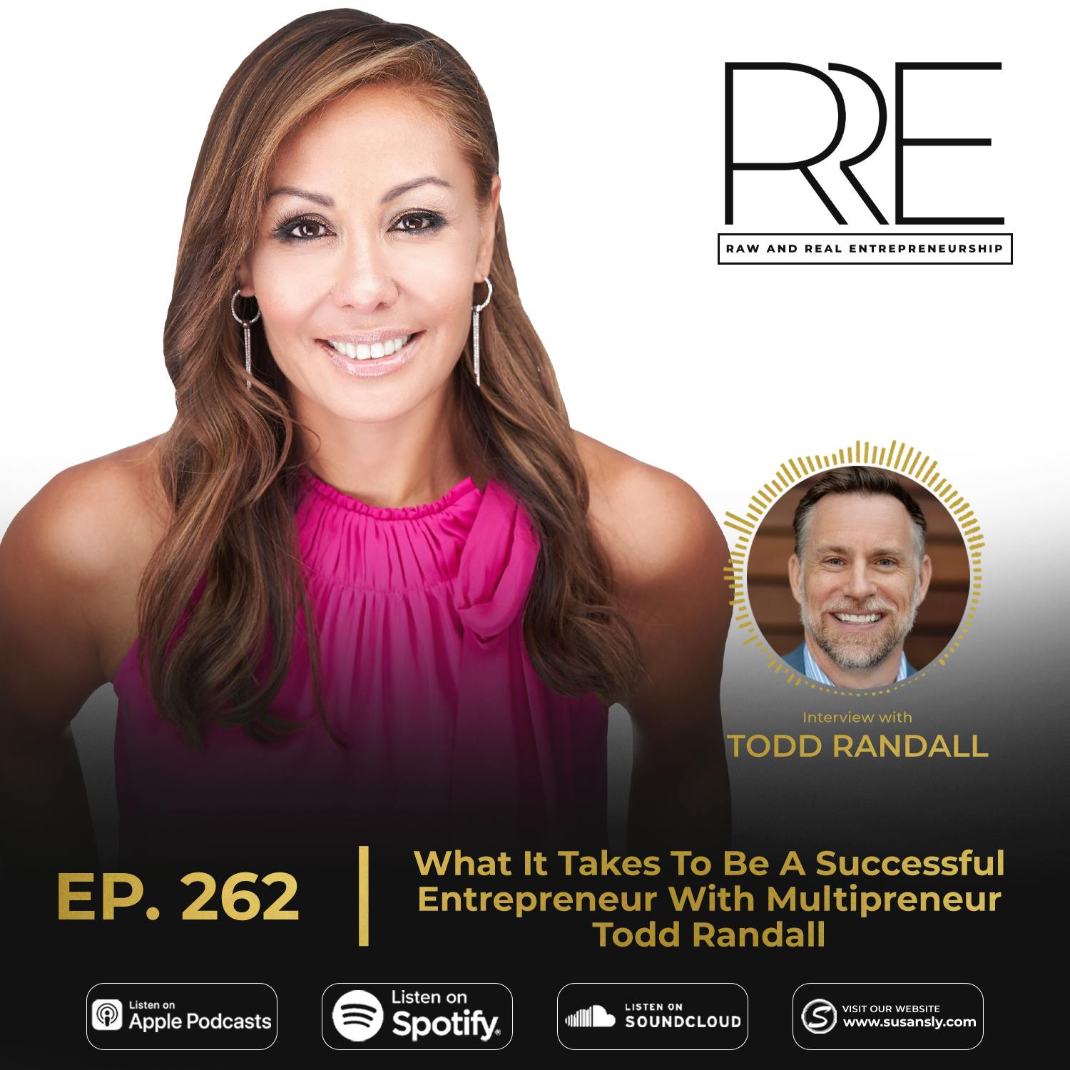 262.  What It Takes To Be A Successful Entrepreneur With Multipreneur Todd Randall