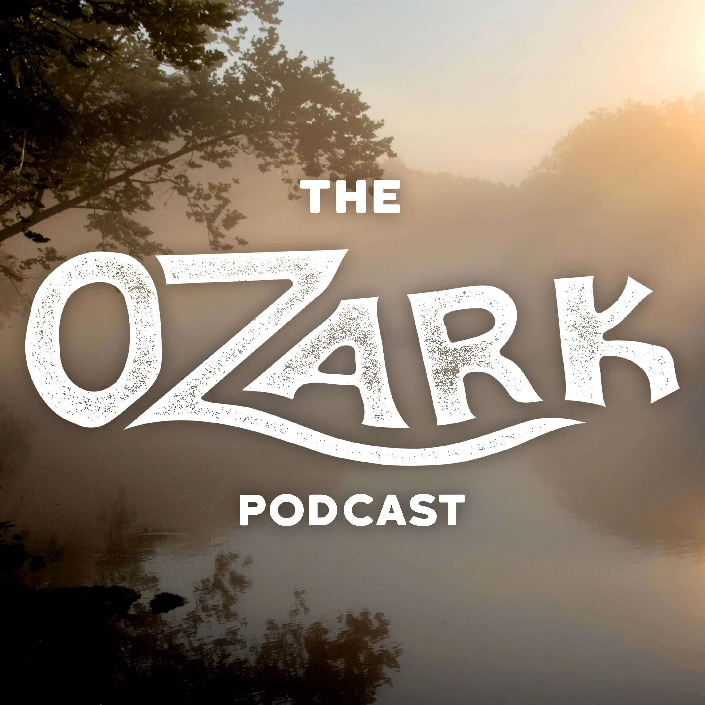 Ep. 61 - Why Does The Ozark Podcast Exist? Should it Exist?