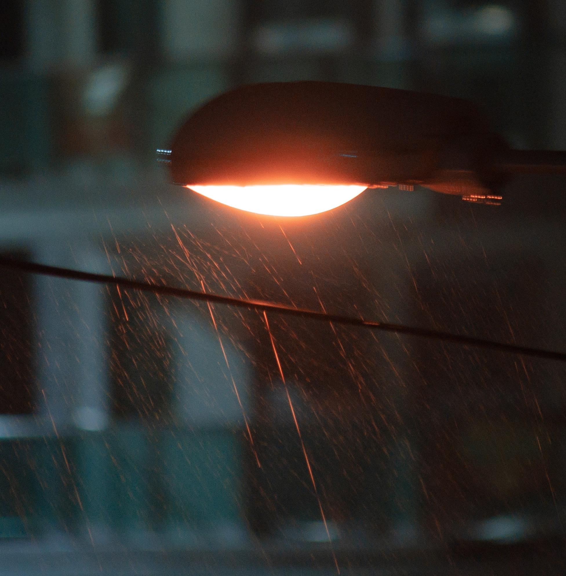 Relaxing Light Rain: 8-Hour Serene Rainfall Sounds for Peaceful Sleep, Studying & Relaxation