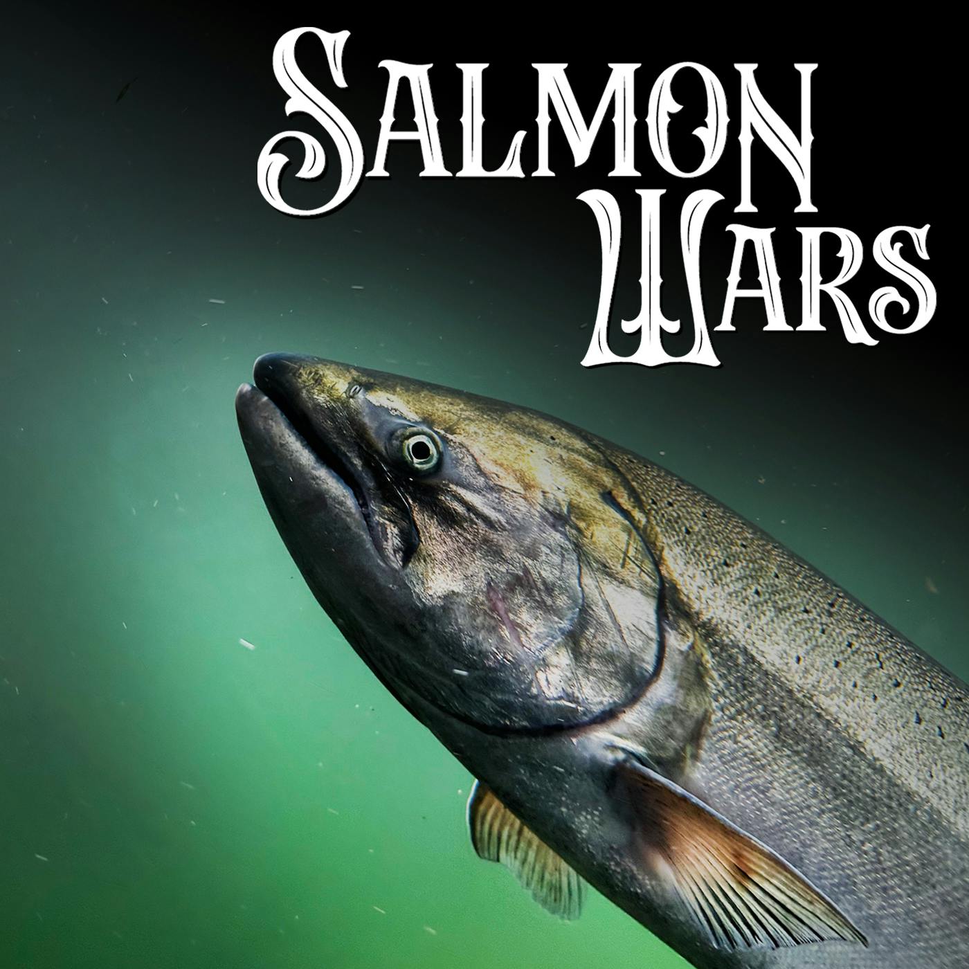 TRAILER - Welcome To 'Salmon Wars' TRAILER - Welcome To 'Salmon Wars'