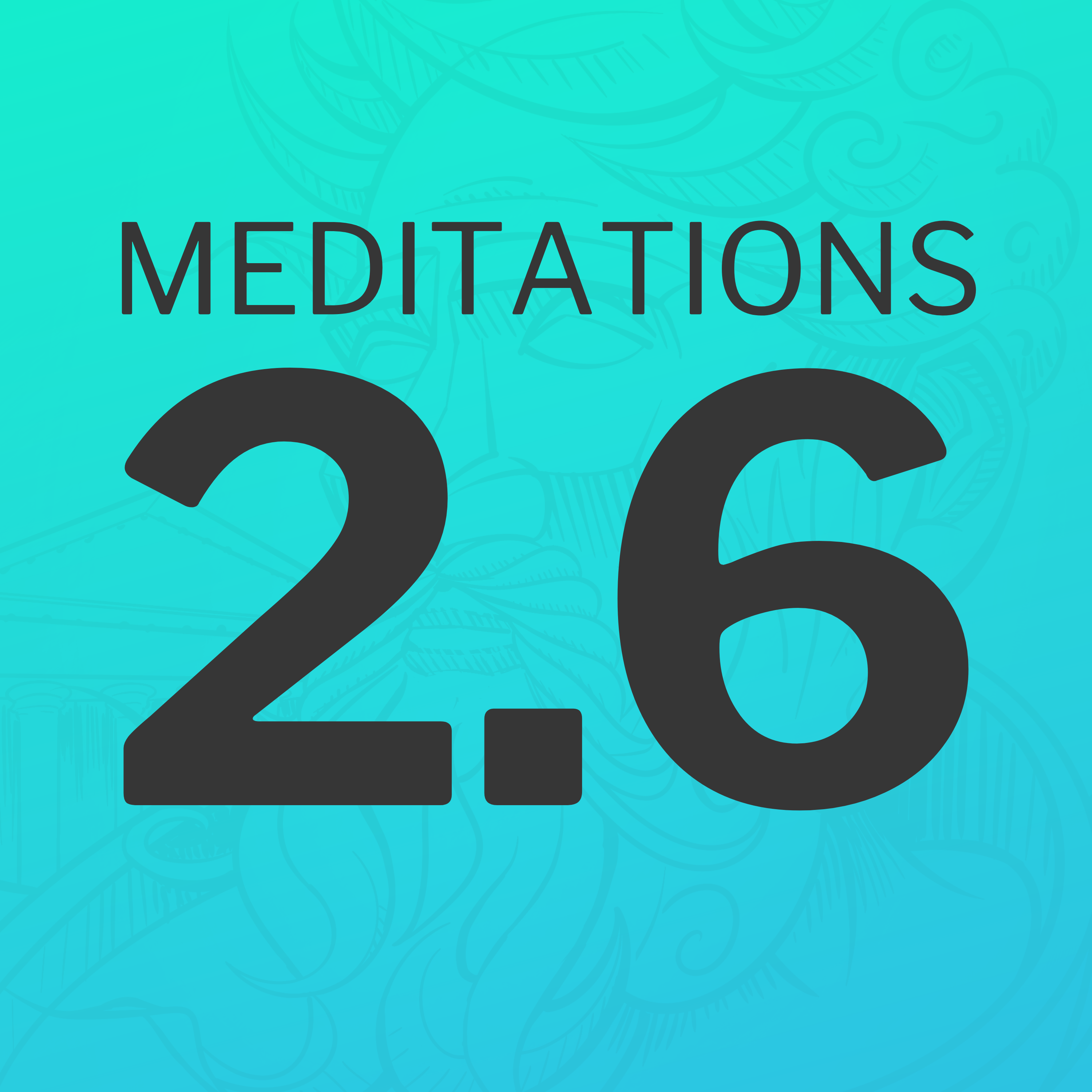 Making morally just decisions (Meditations 2.6)