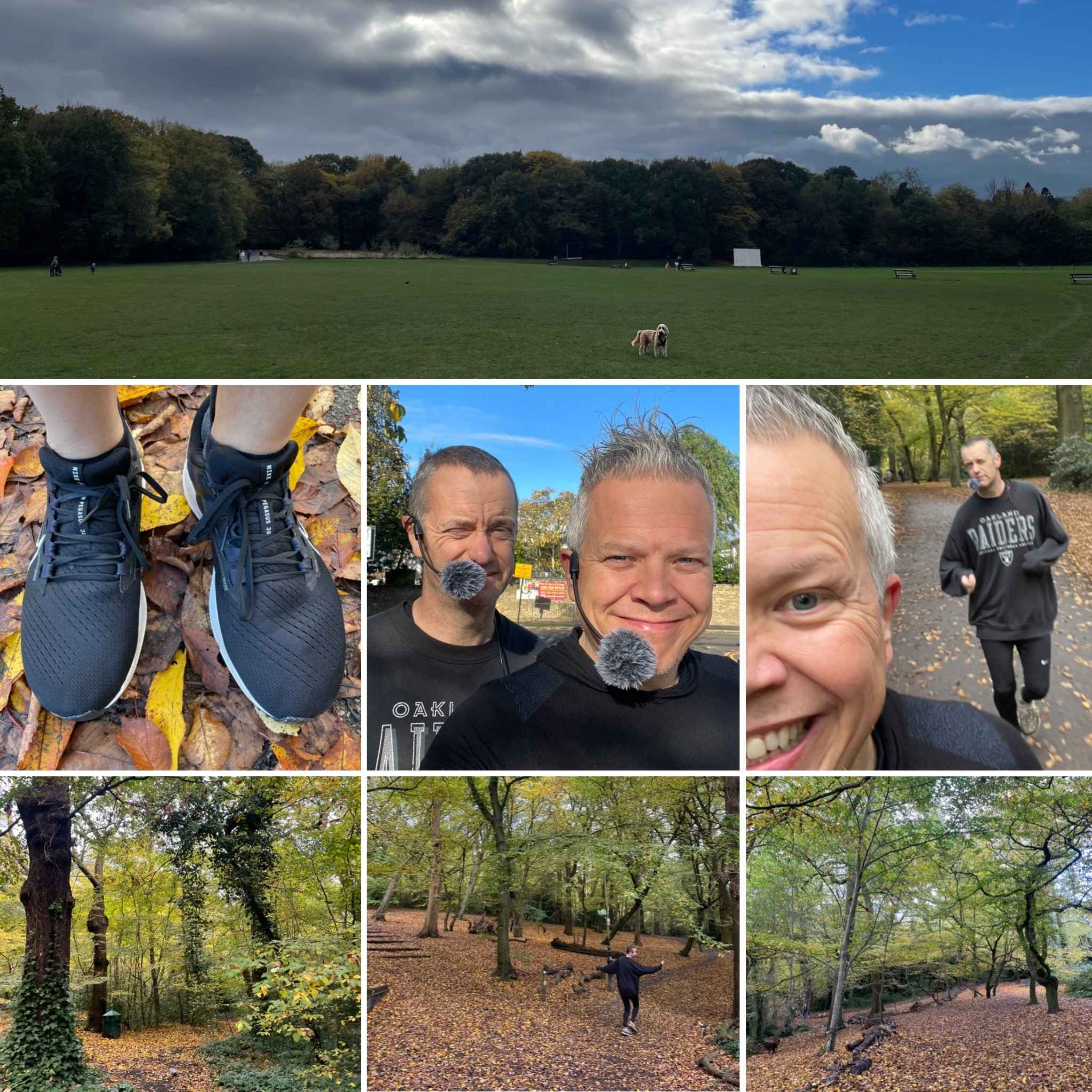 Yorkshire Reverberates