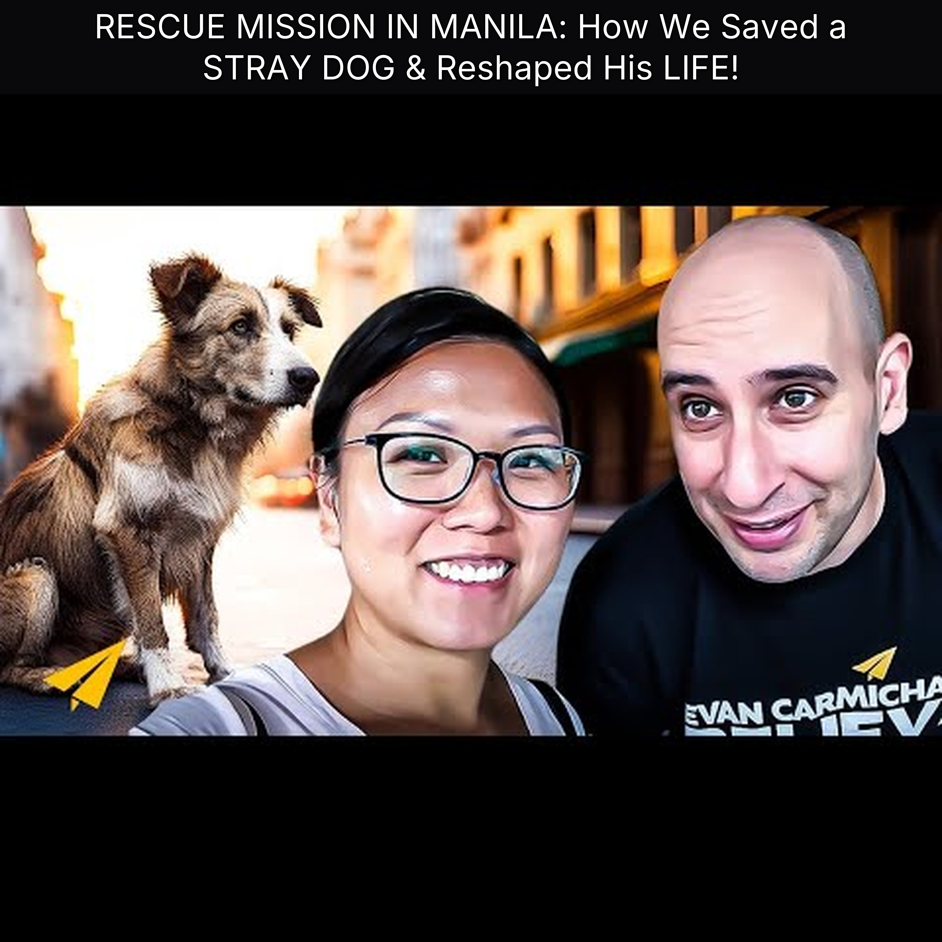 RESCUE MISSION IN MANILA: How We Saved a STRAY DOG & Reshaped His LIFE! episode artwork