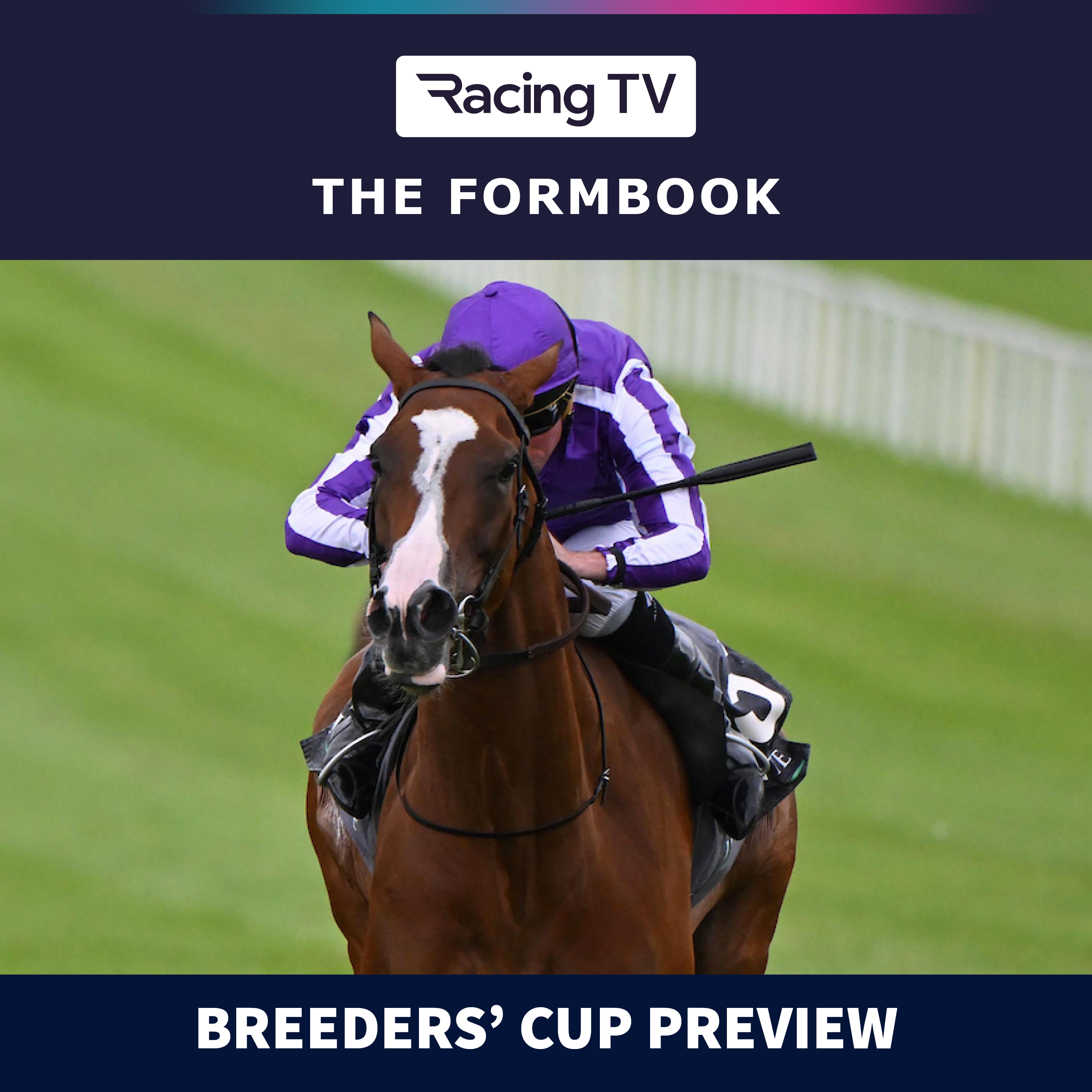 Breeders' Cup Preview & Tips | The Formbook