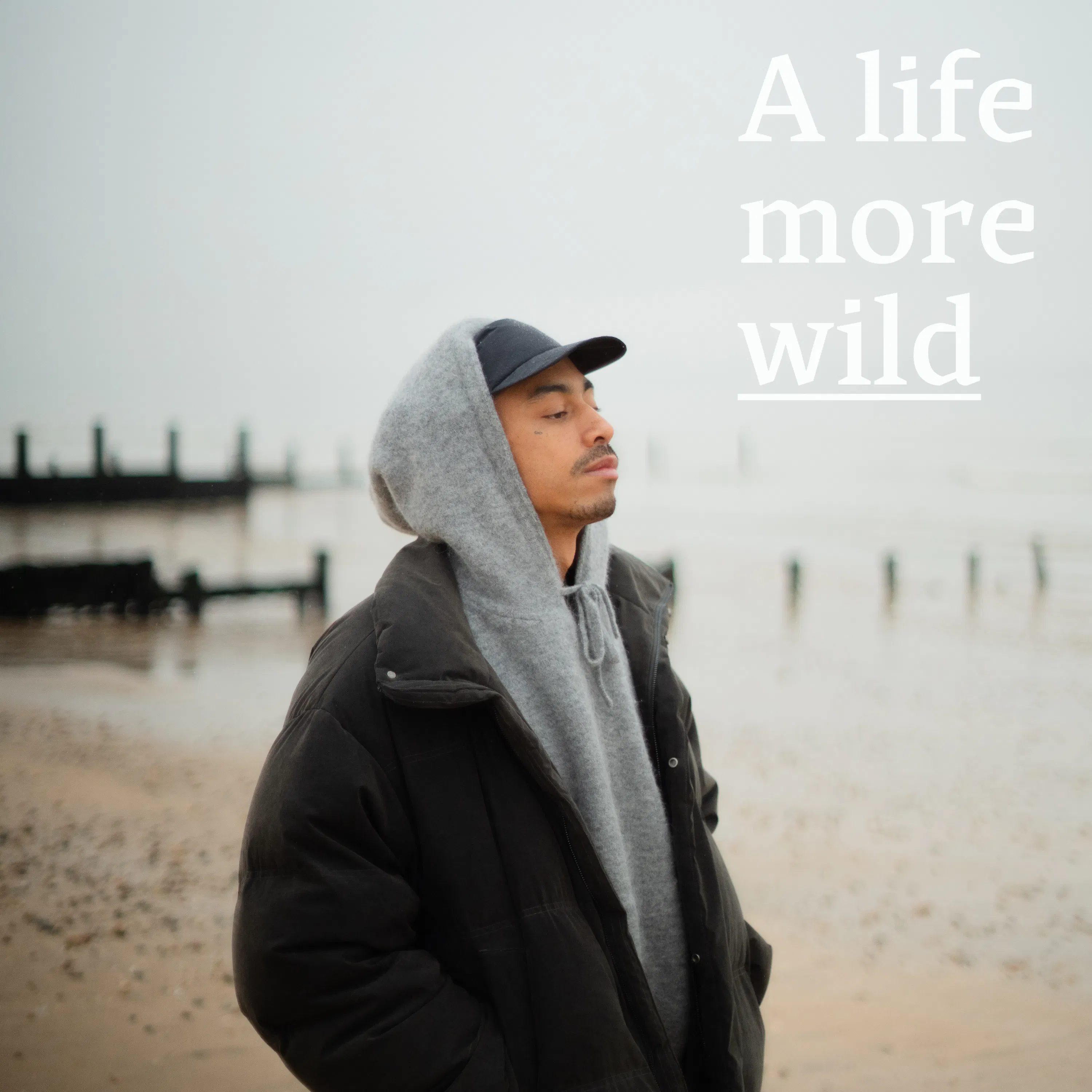 Jordan Stephens on fame, heartbreak, dogs and braving the weather episode artwork