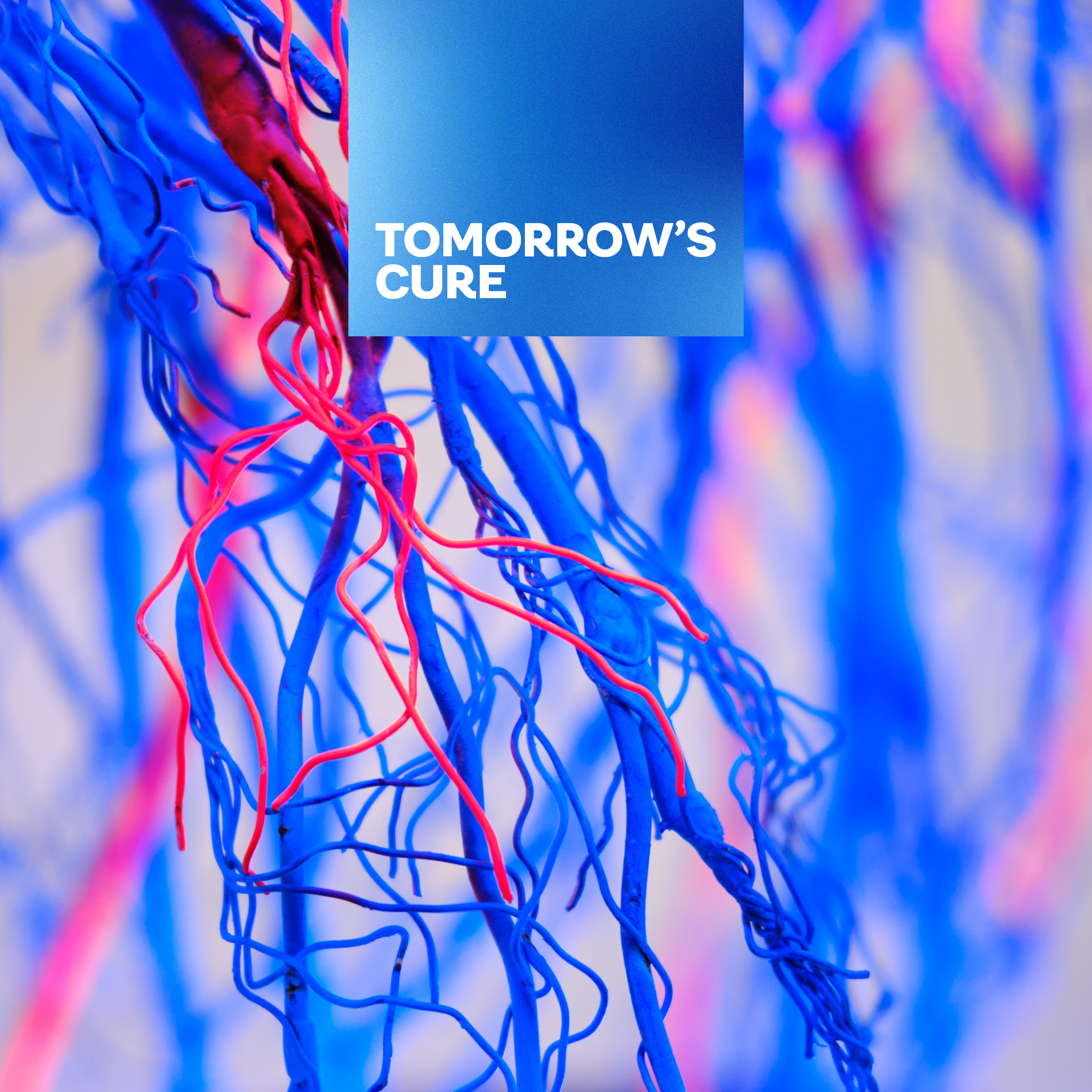 Thumbnail for "Obesity, Behavior, and the Heart: How We Fix It".