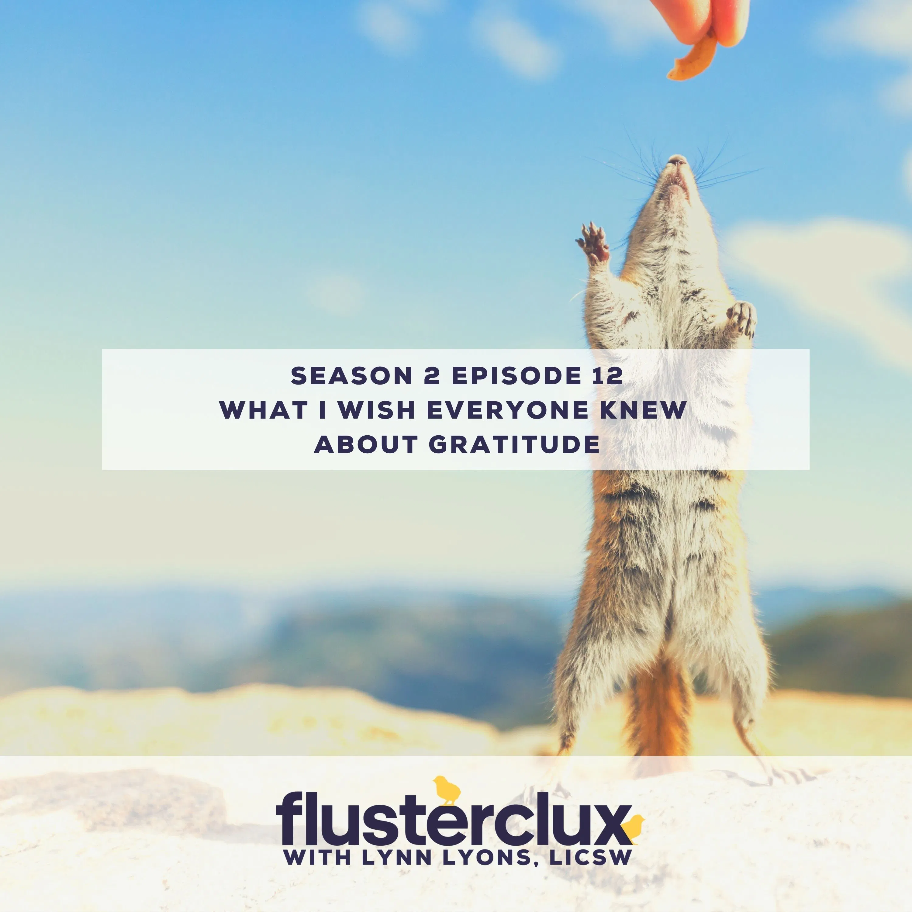 What I Wish Everyone Knew About Gratitude What I Wish Everyone Knew About Gratitude