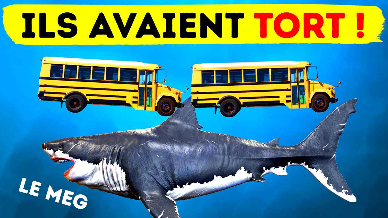 Le requin géant Mégalodon était sans doute 2 fois plus grand