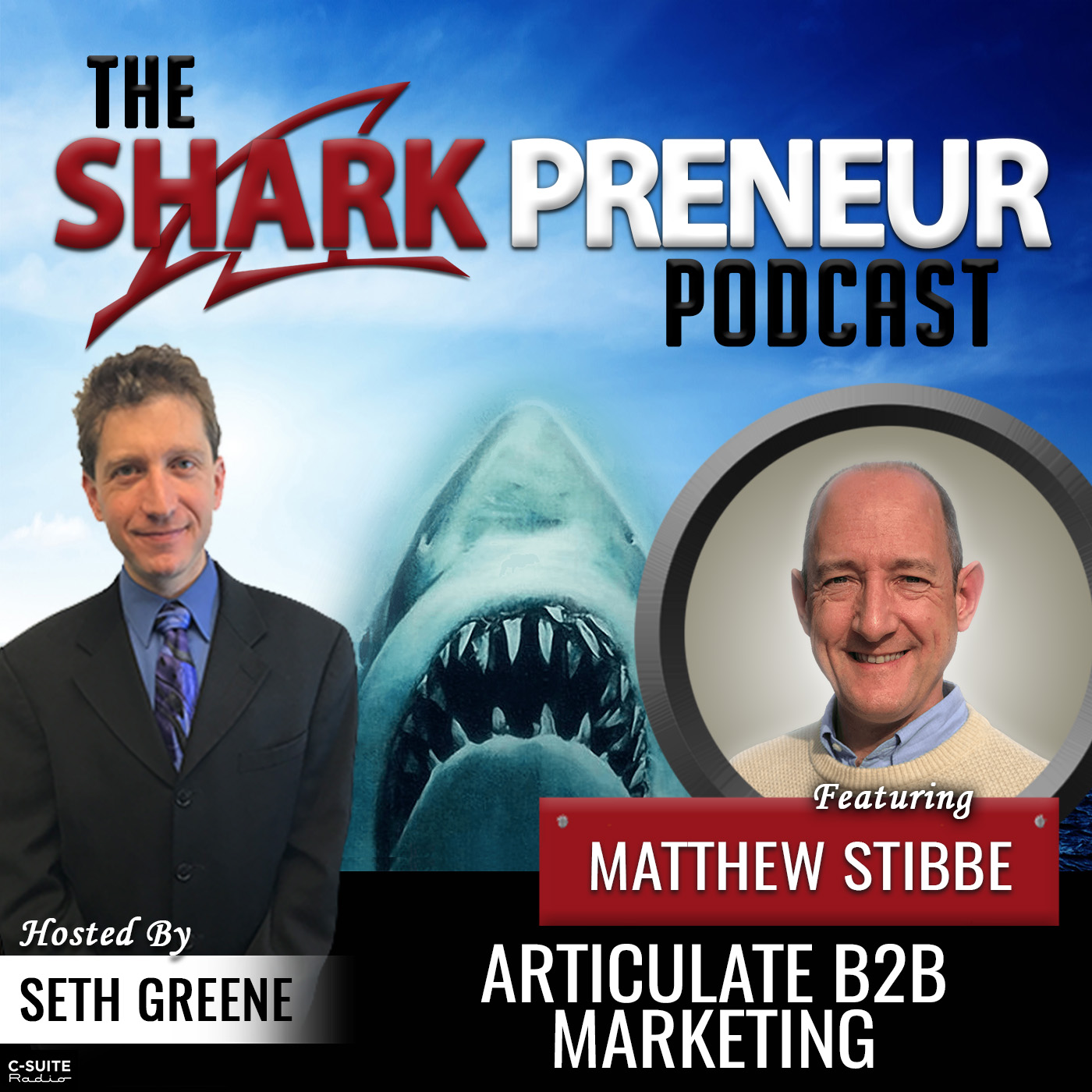 816: Articulate B2B Marketing with Matthew Stibbe
