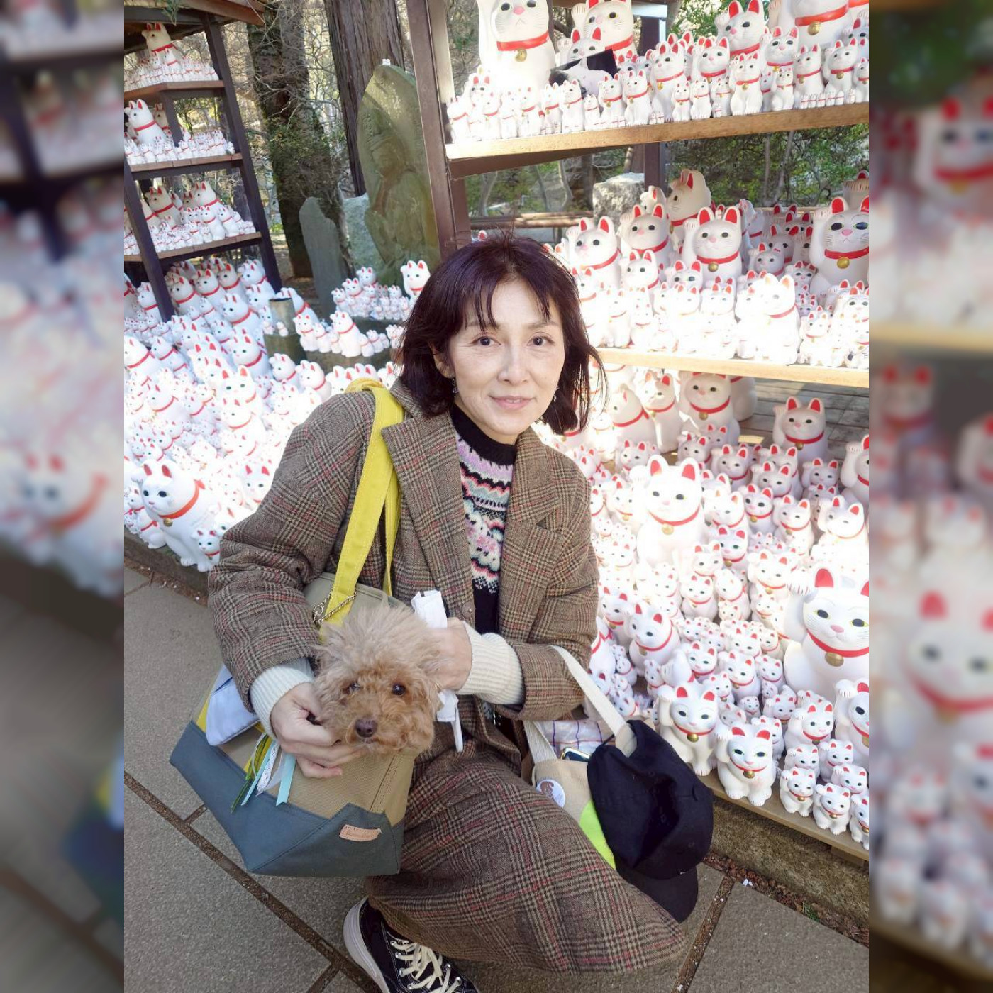 朝みみ！ Precious Family