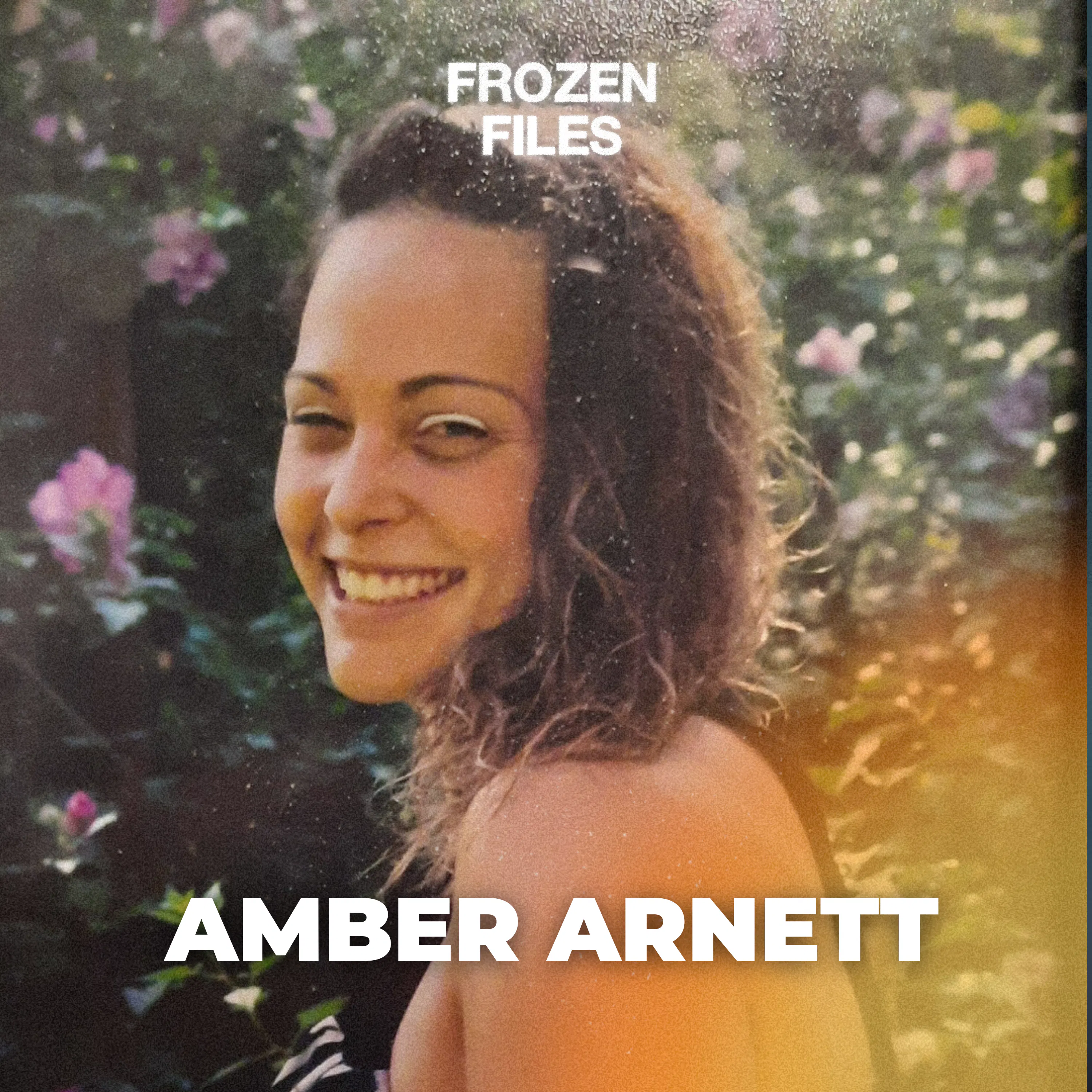Amber Arnett: She Felt Unsafe, Then Disappeared episode artwork