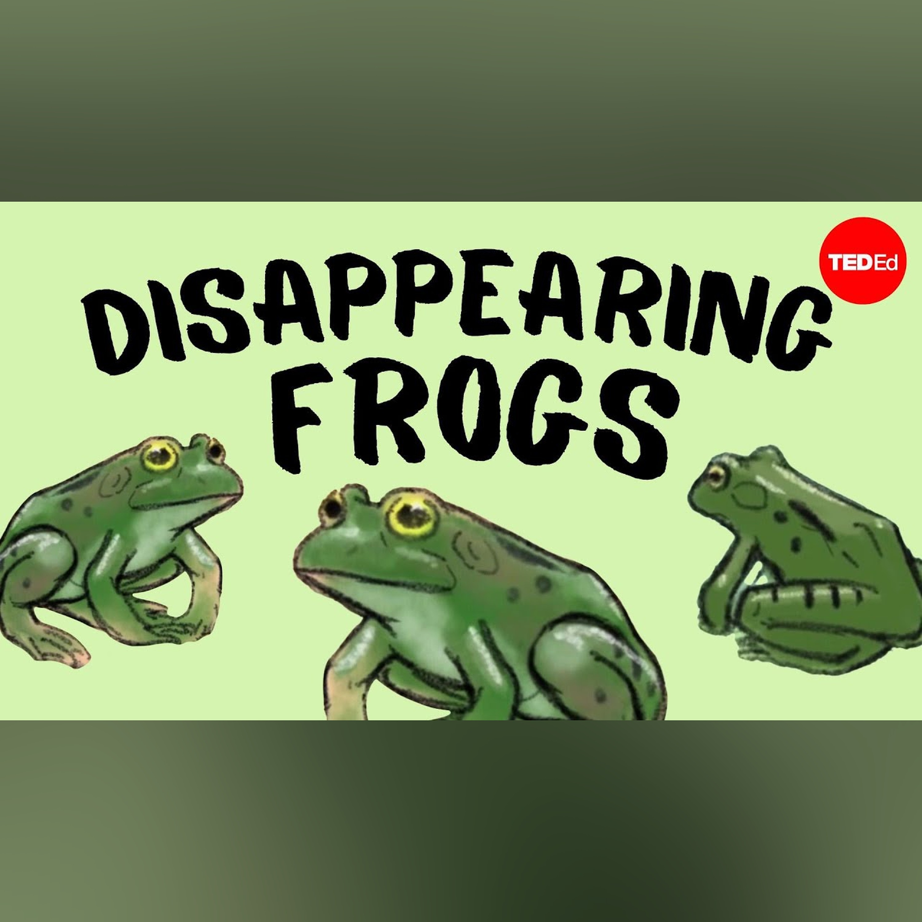 Why are frogs disappearing? - Kerry M. Kriger