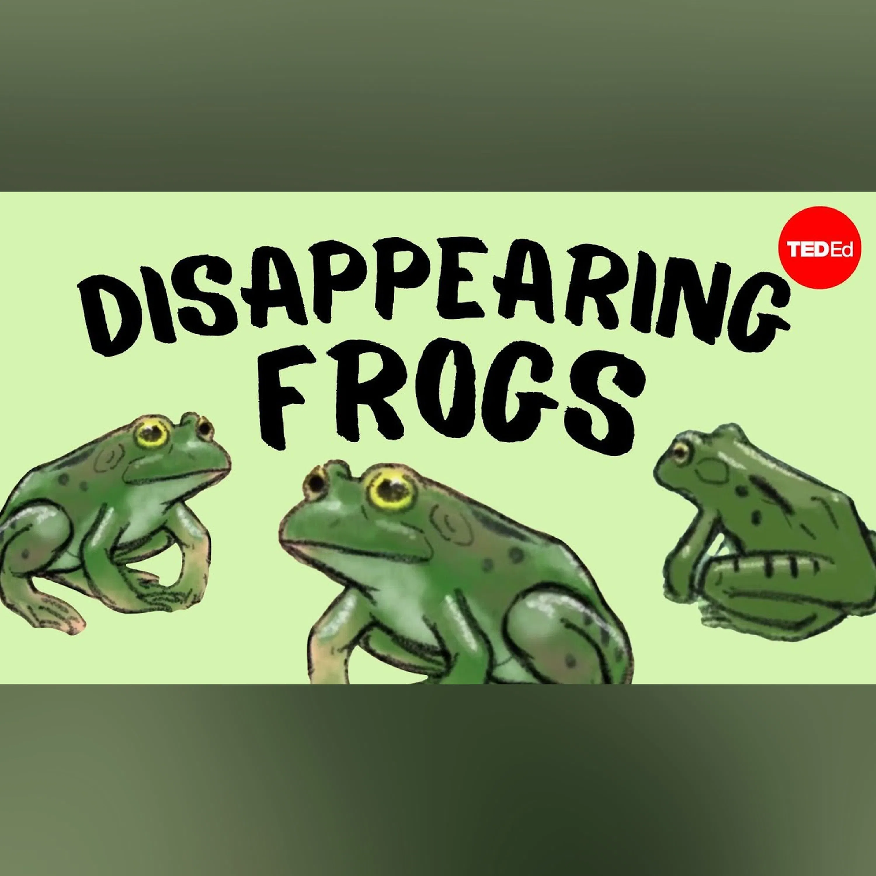 Why are frogs disappearing? - Kerry M. Kriger