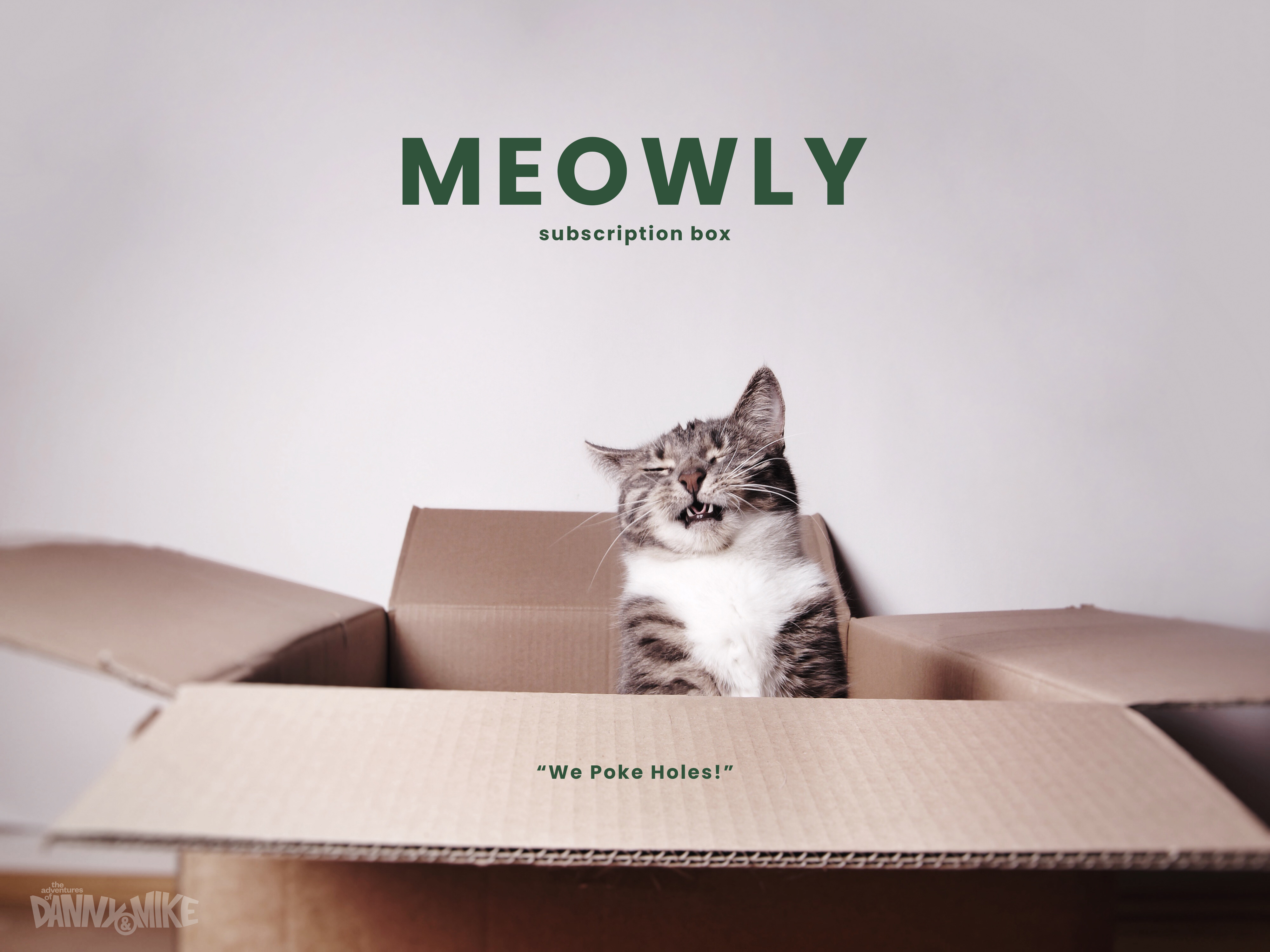 The Adventures of Danny and Mike