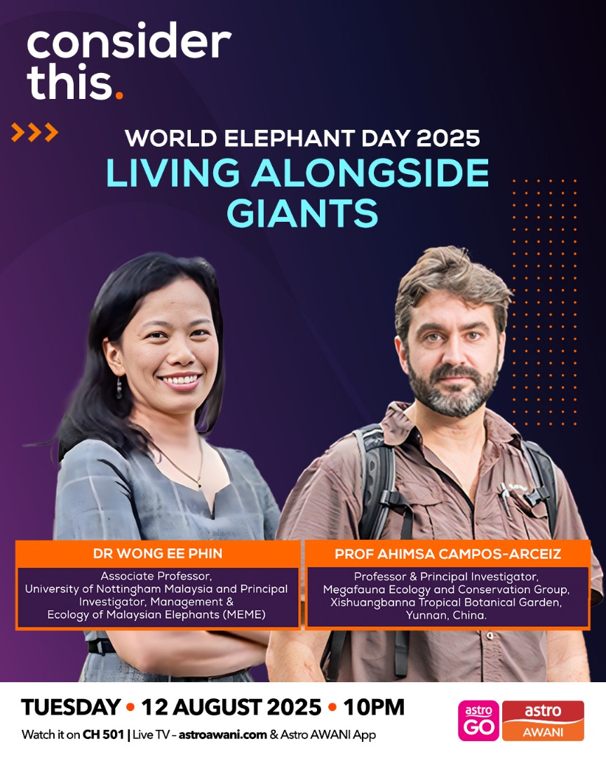 Consider This: World Elephant Day 2025 - Living Alongside Giants