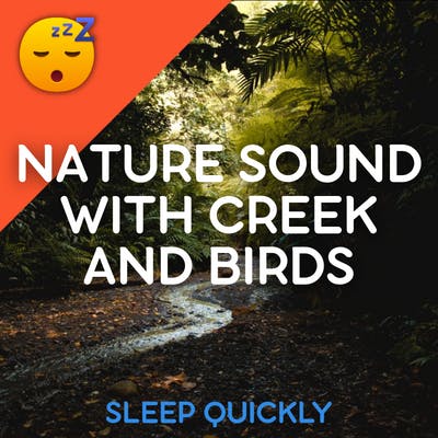 😴🍂 NATURE Sound with CREEK and BIRDS episode artwork