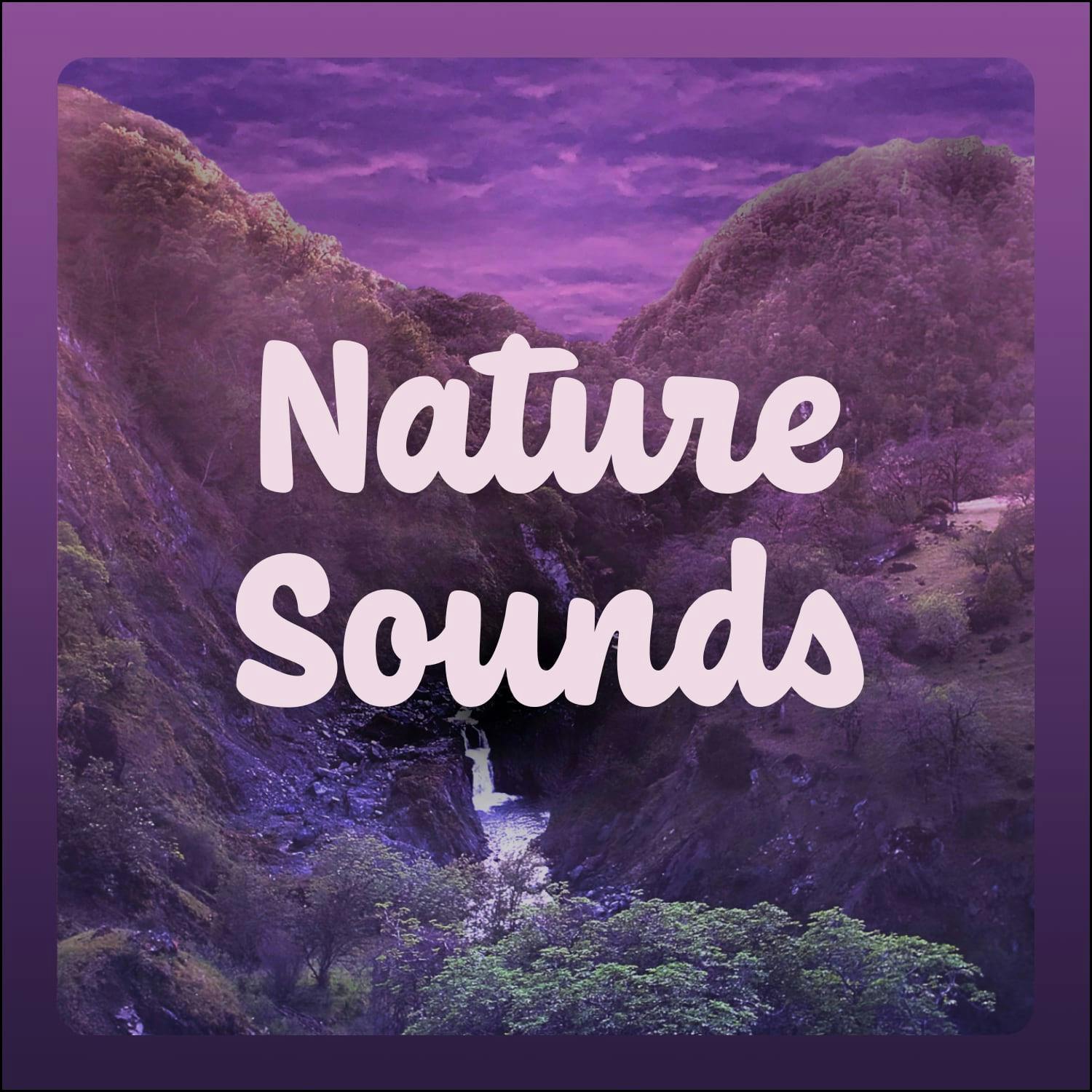 Nature Sounds podcast tile