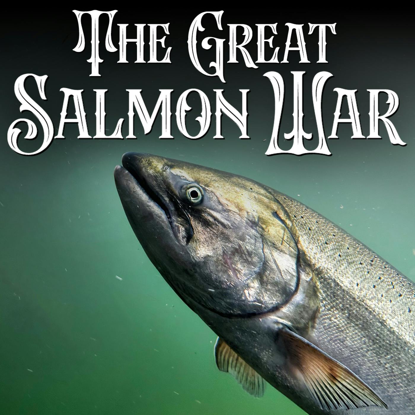 Episode 3 - David Bayes | A True ‘David VS Goliath’ Story Of The Man Behind The STOP Alaskan Trawler Bycatch Facebook Group Episode 3 - David Bayes | A True ‘David VS Goliath’ Story Of The Man Behind The STOP Alaskan Trawler Bycatch Facebook Group